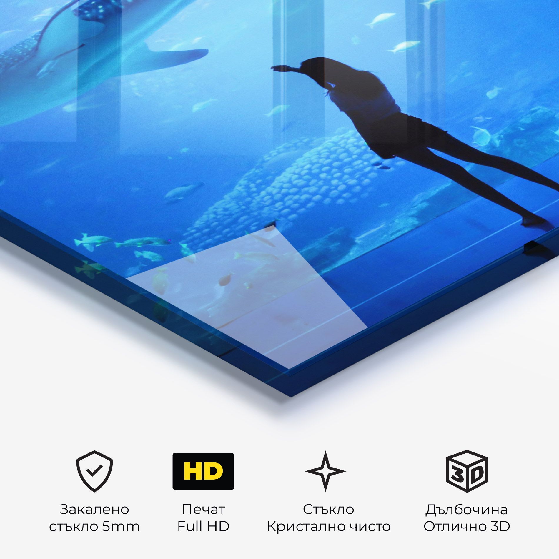 Aquarium Girl mockup 3