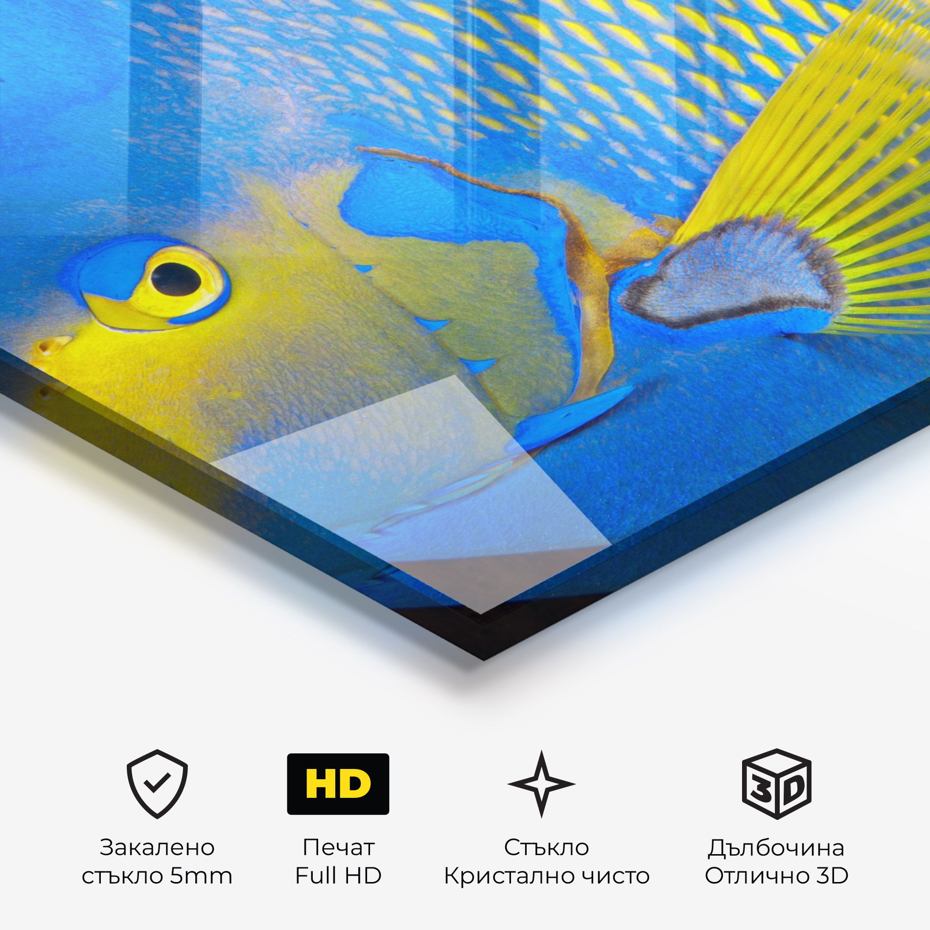 Blue Yellow Fish mockup 3