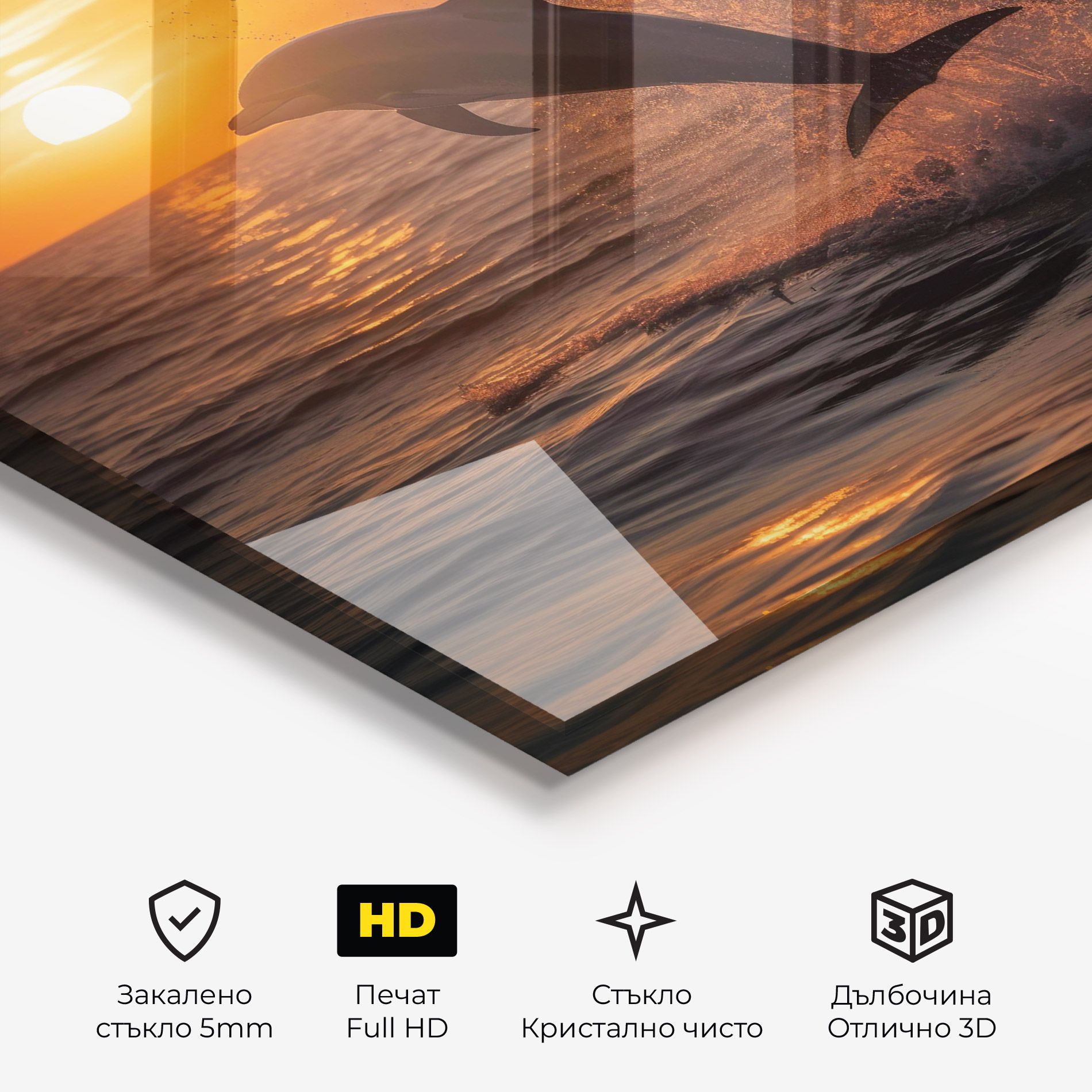 Dolphin Jump mockup 3