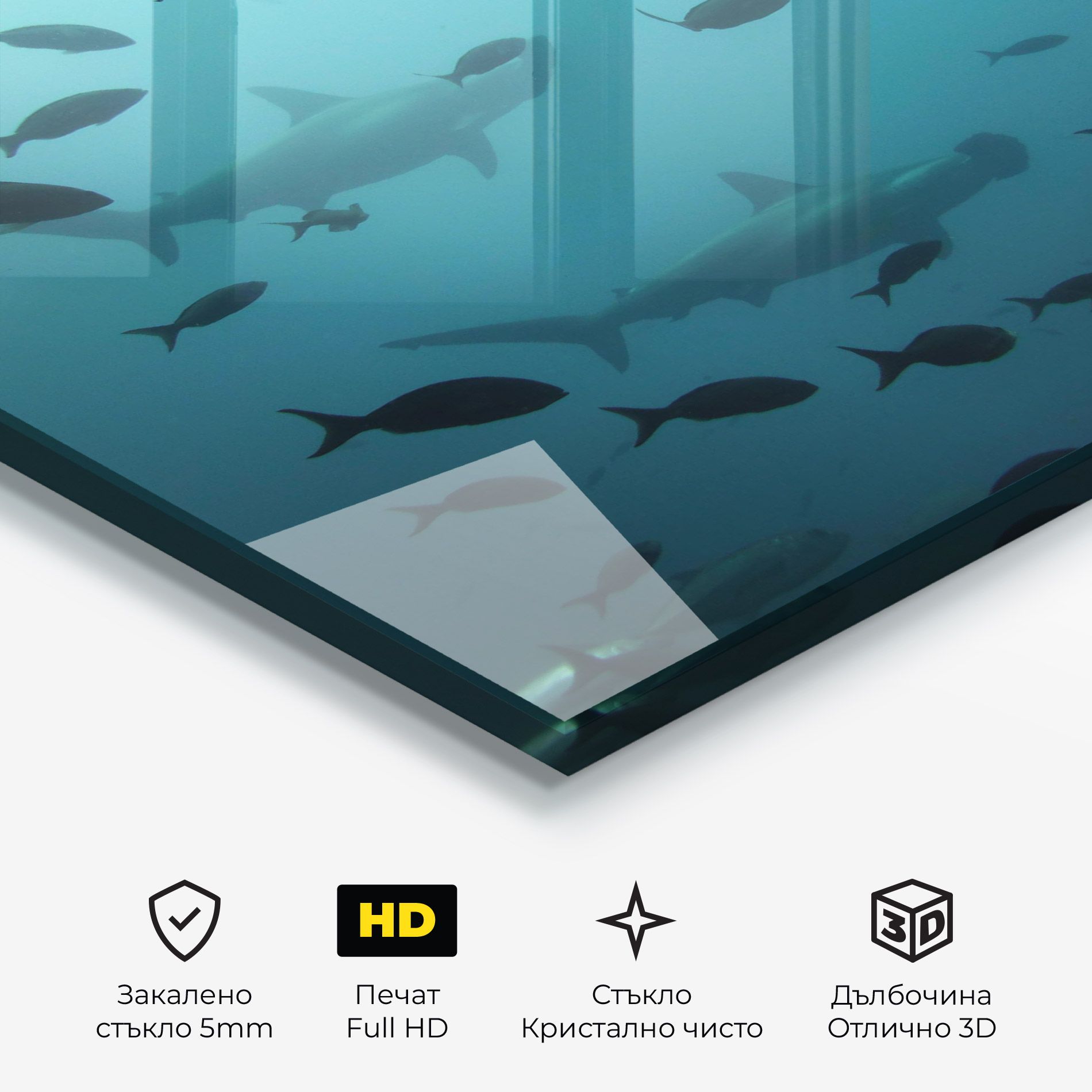 Fish Shilouette mockup 3