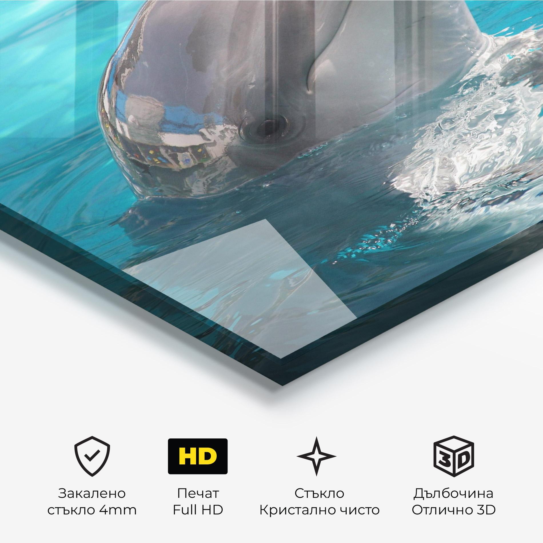 Стъклена картина Dolphin Poses mockup 3