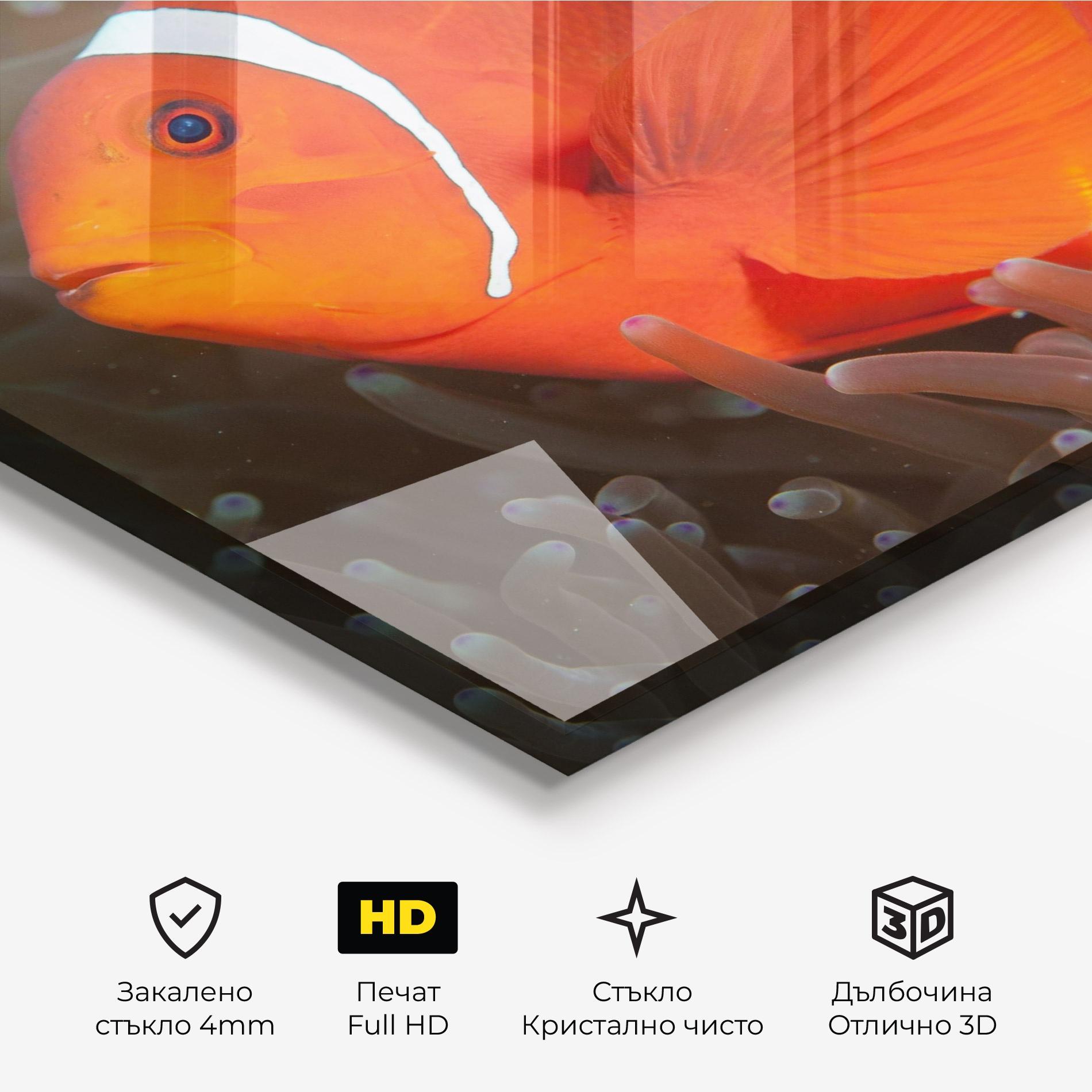 Стъклена картина Nemo Clownfish mockup 3