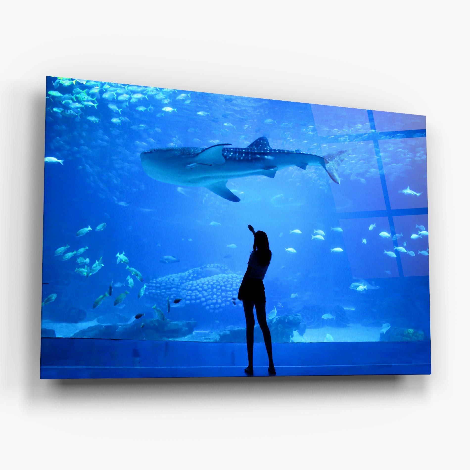 Aquarium Girl mockup 6