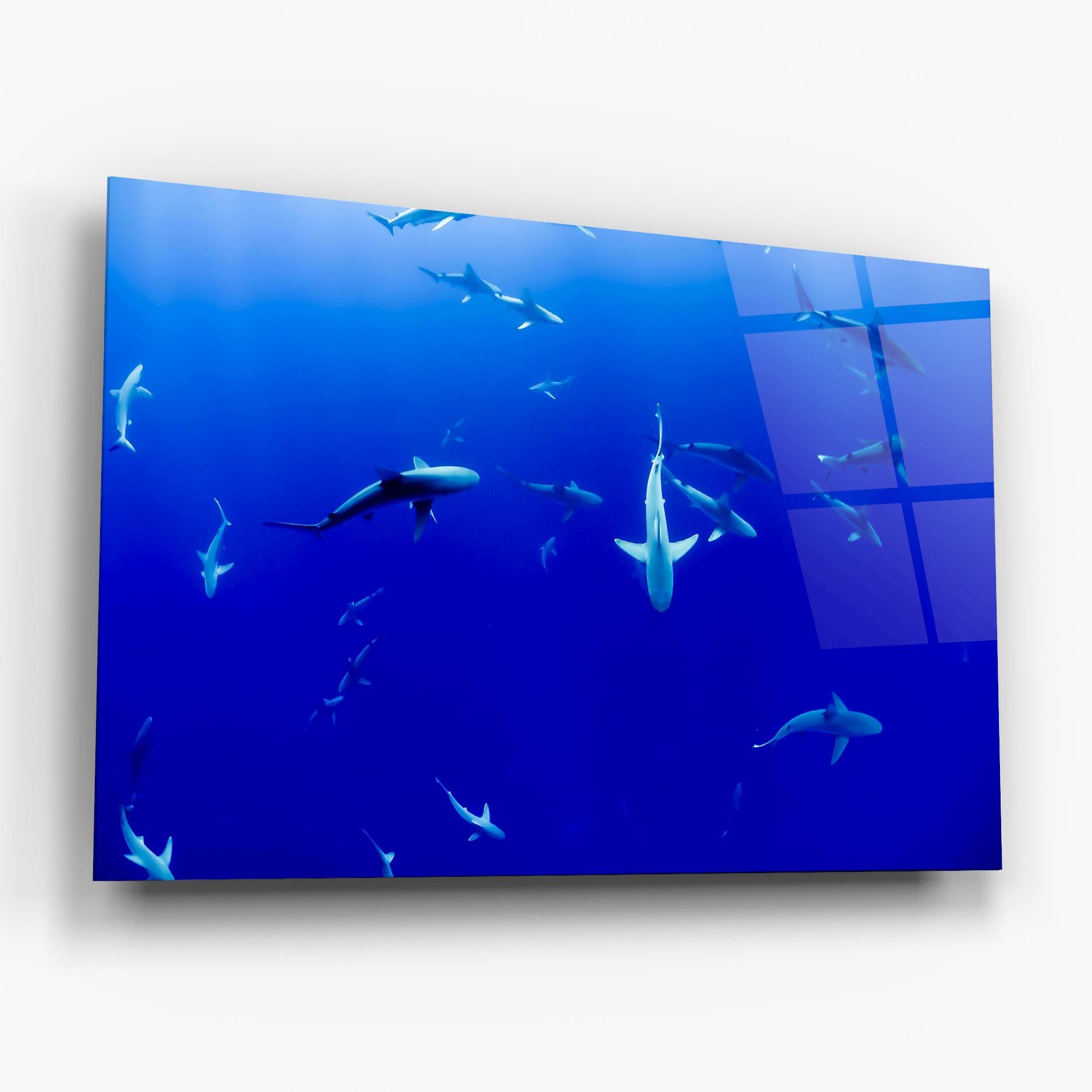 Baby Sharks mockup 6