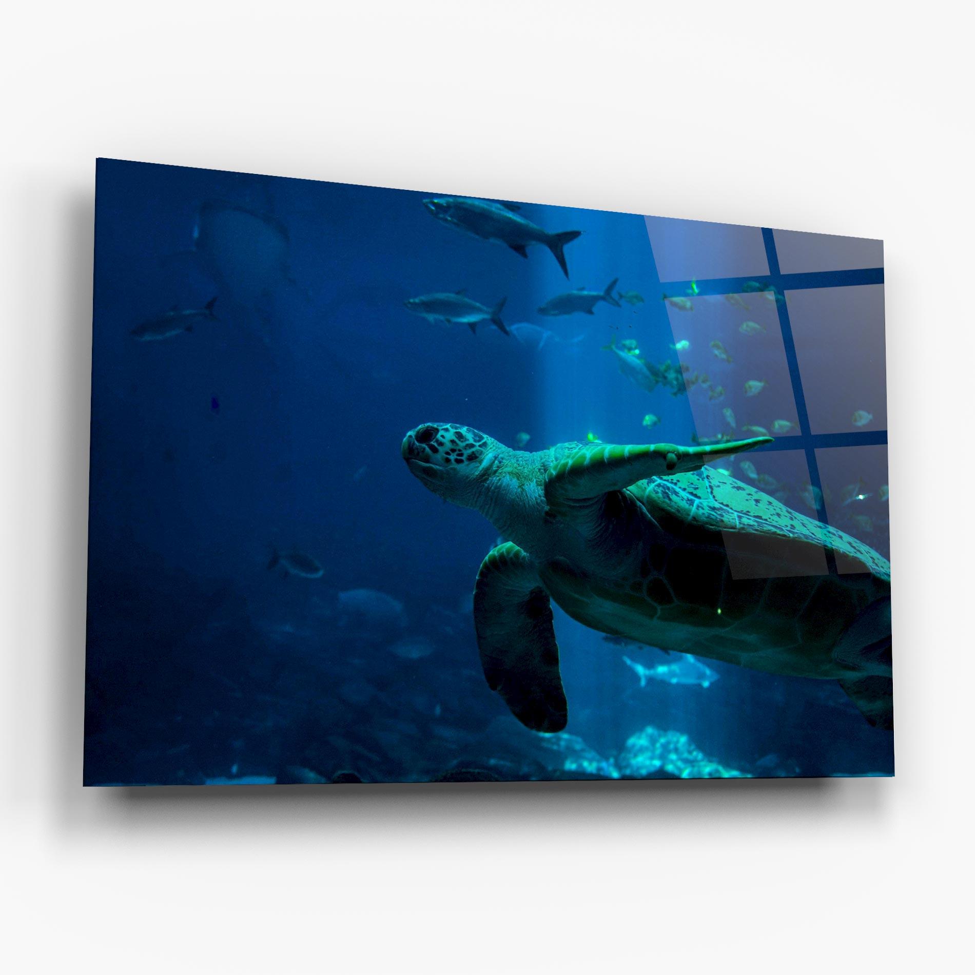 Стъклена картина Green Turtule mockup 6