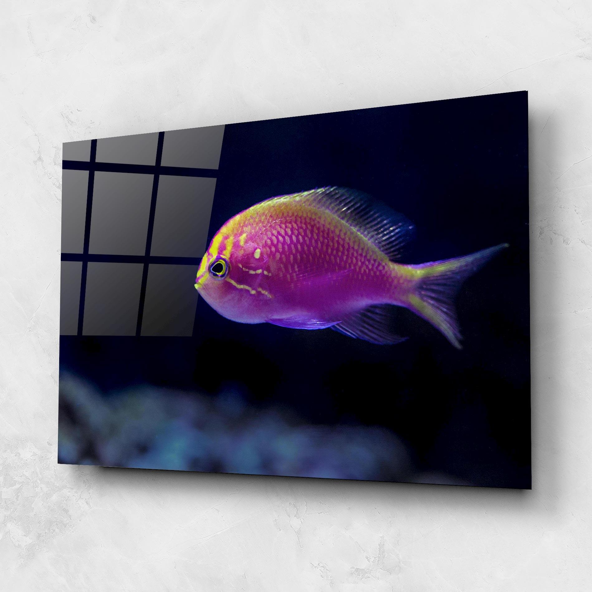 Стъклена картина Angry Pink Fish mockup 1