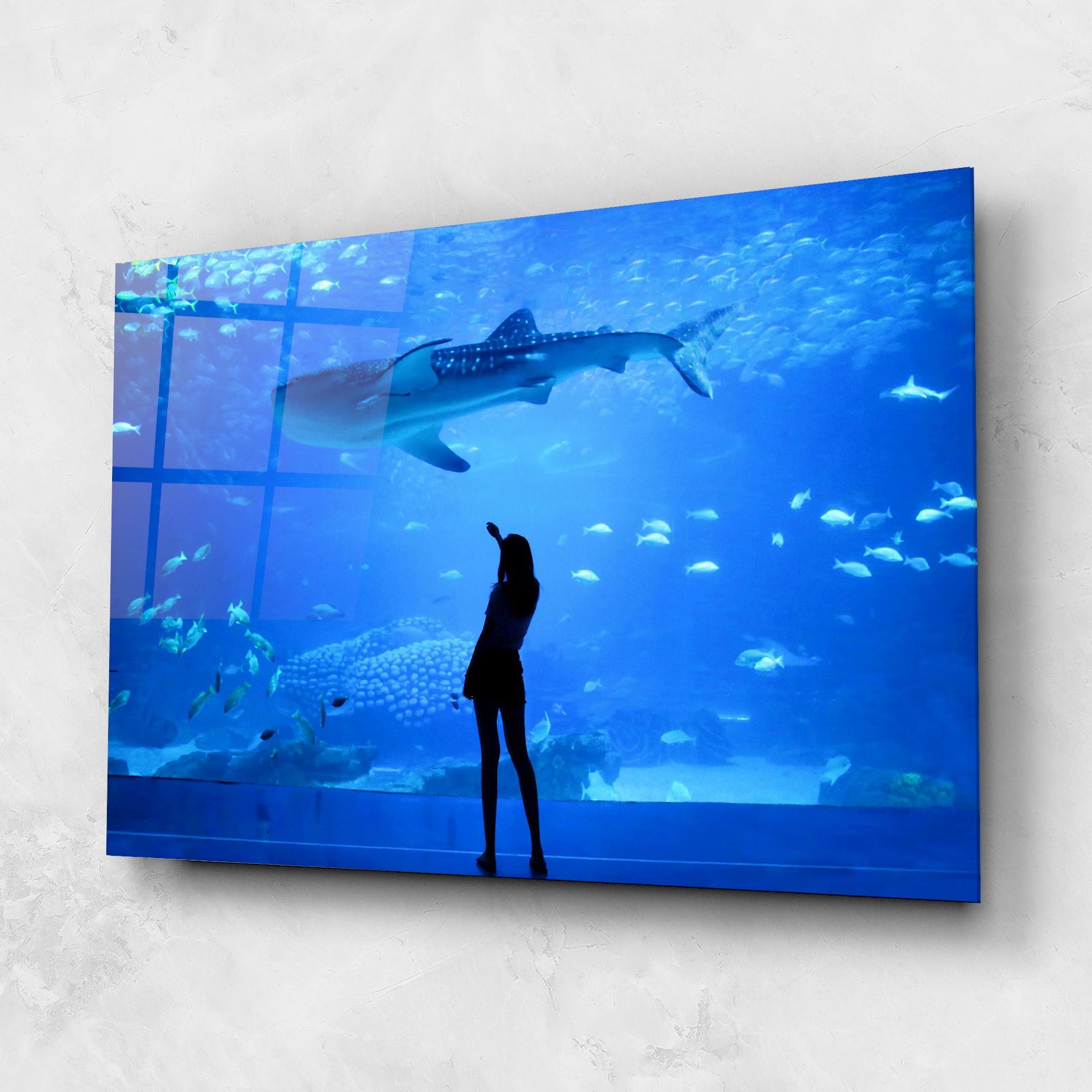Aquarium Girl mockup 1