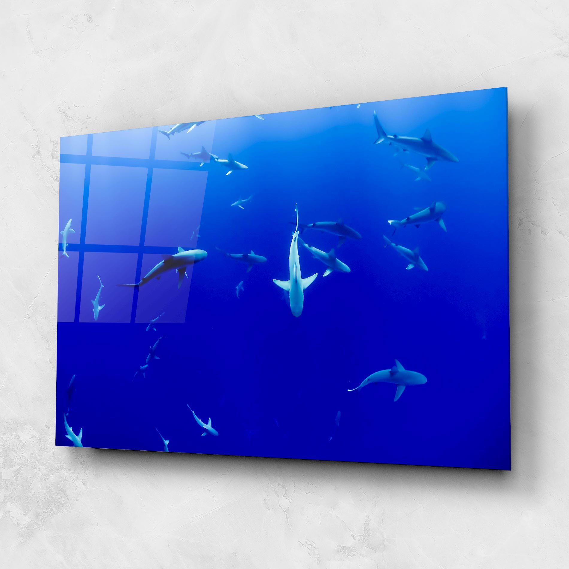 Baby Sharks mockup 1