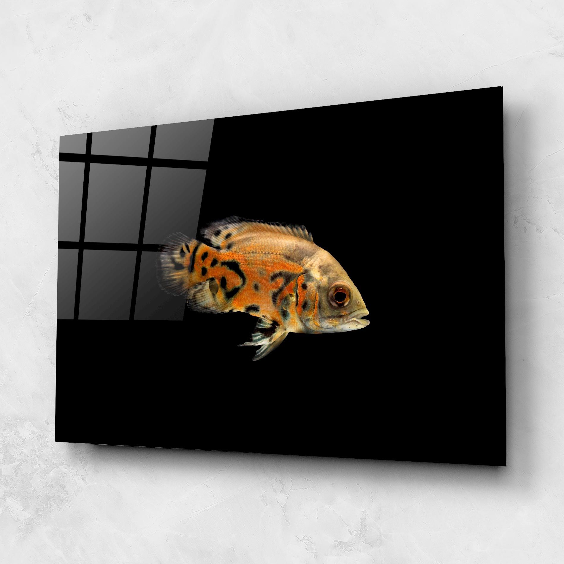 Cute Brown Fish mockup 1