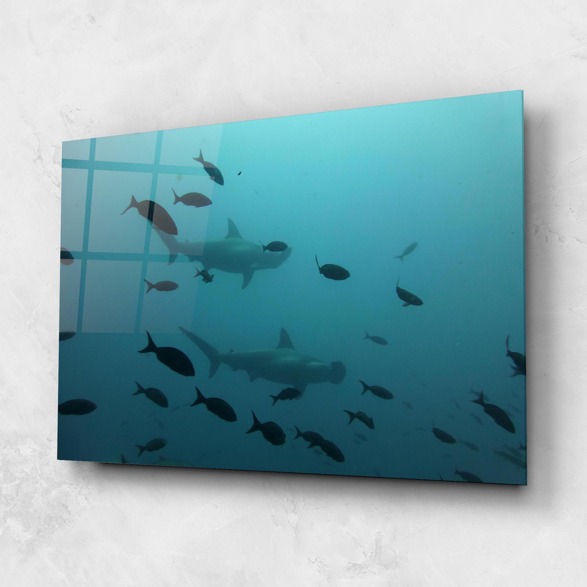 Fish Shilouette mockup 1