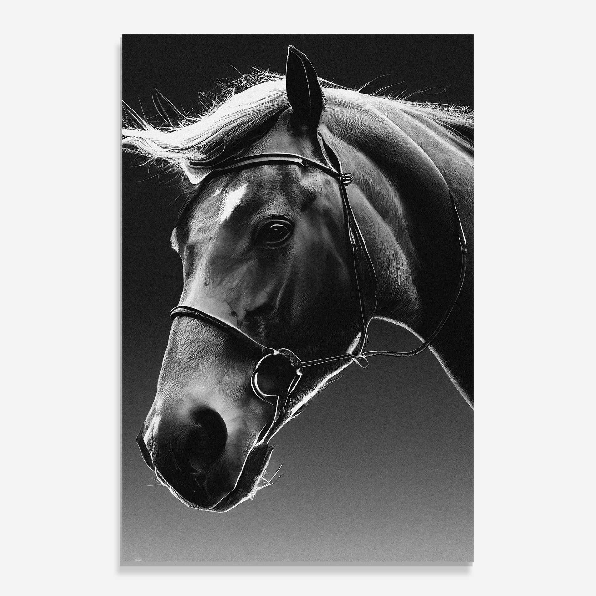Black Horse Profile mockup 0