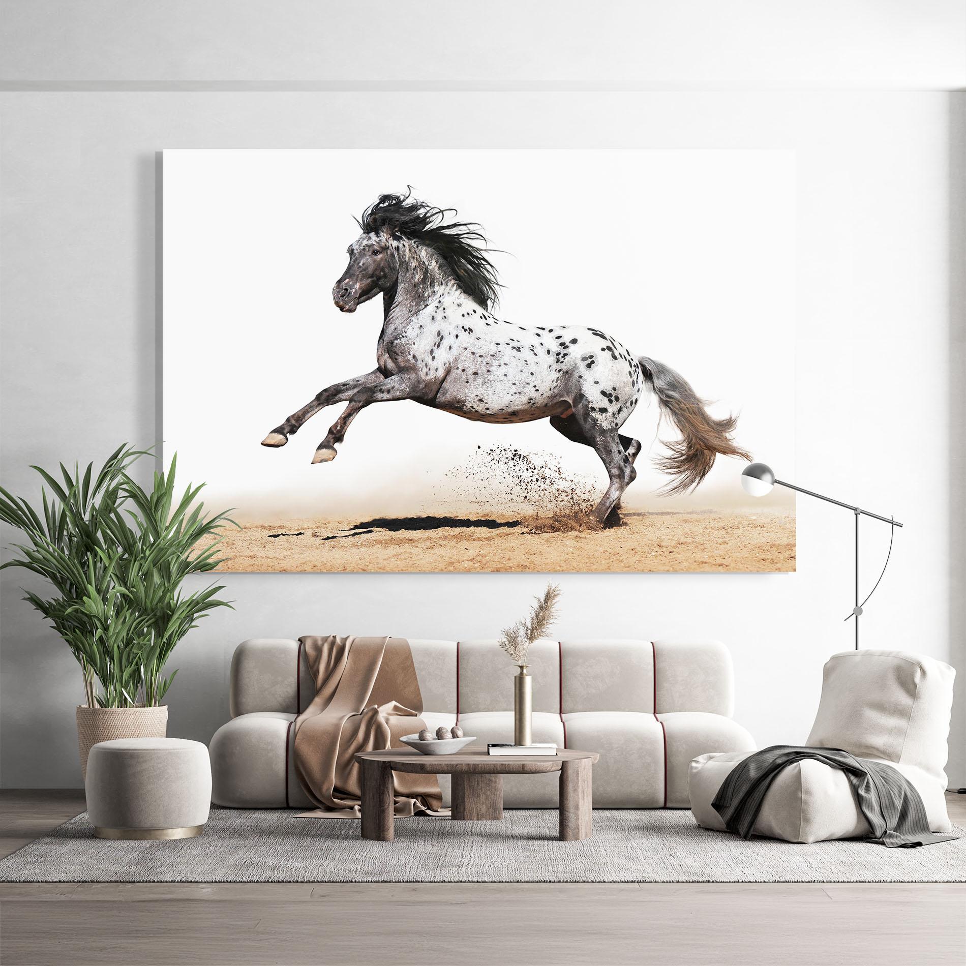 Стъклена картина Appaloosa Horse Running mockup 9