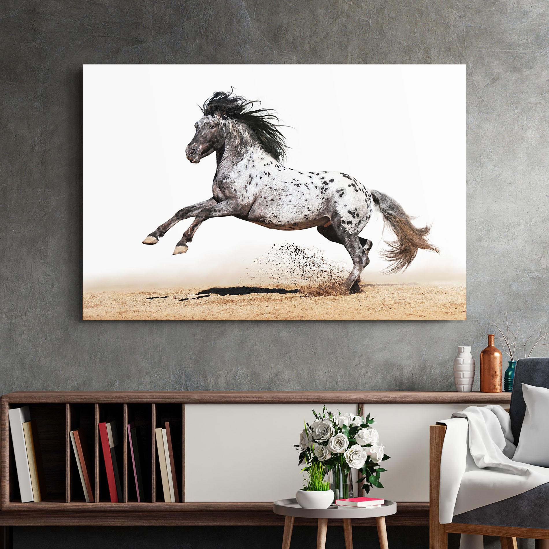 Стъклена картина Appaloosa Horse Running mockup 2