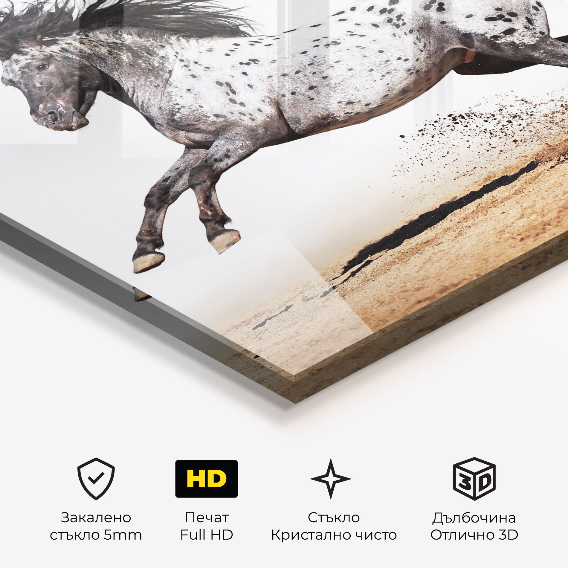 Appaloosa Horse Running mockup 3