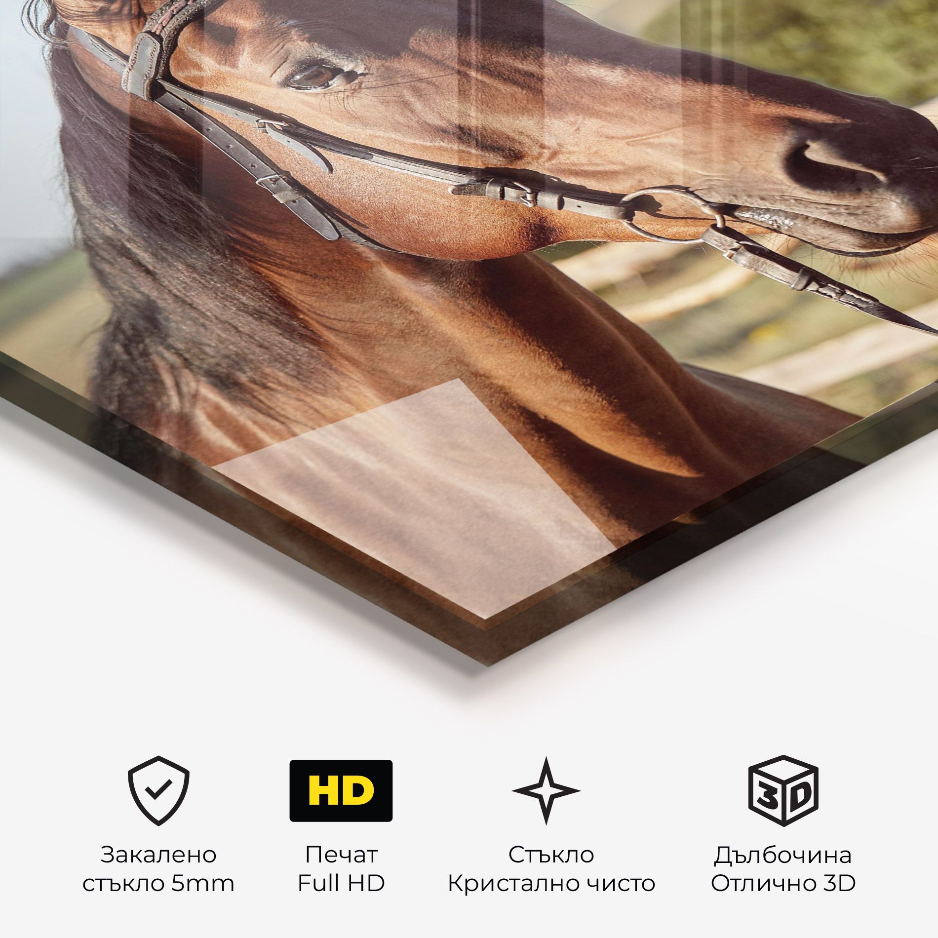 Brown Horse Close Up mockup 3