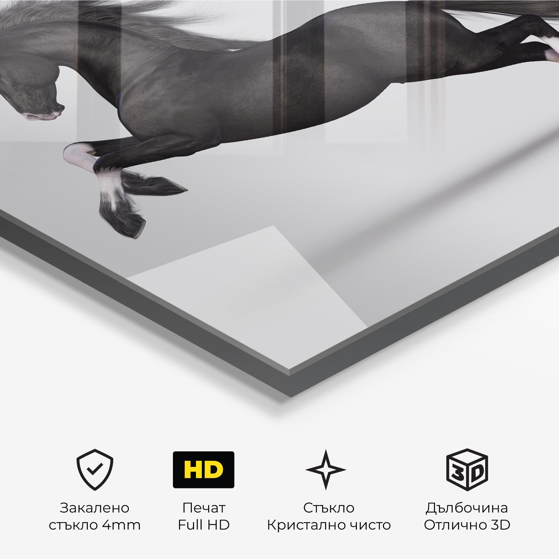 Стъклена картина Black Horse Galloping mockup 3
