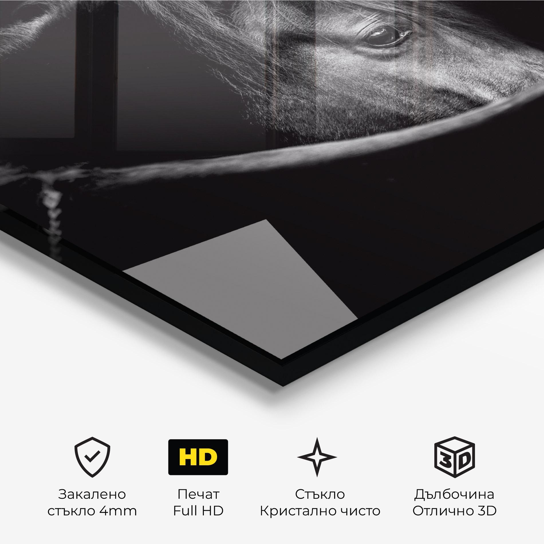 Стъклена картина Black Horse Looking mockup 3