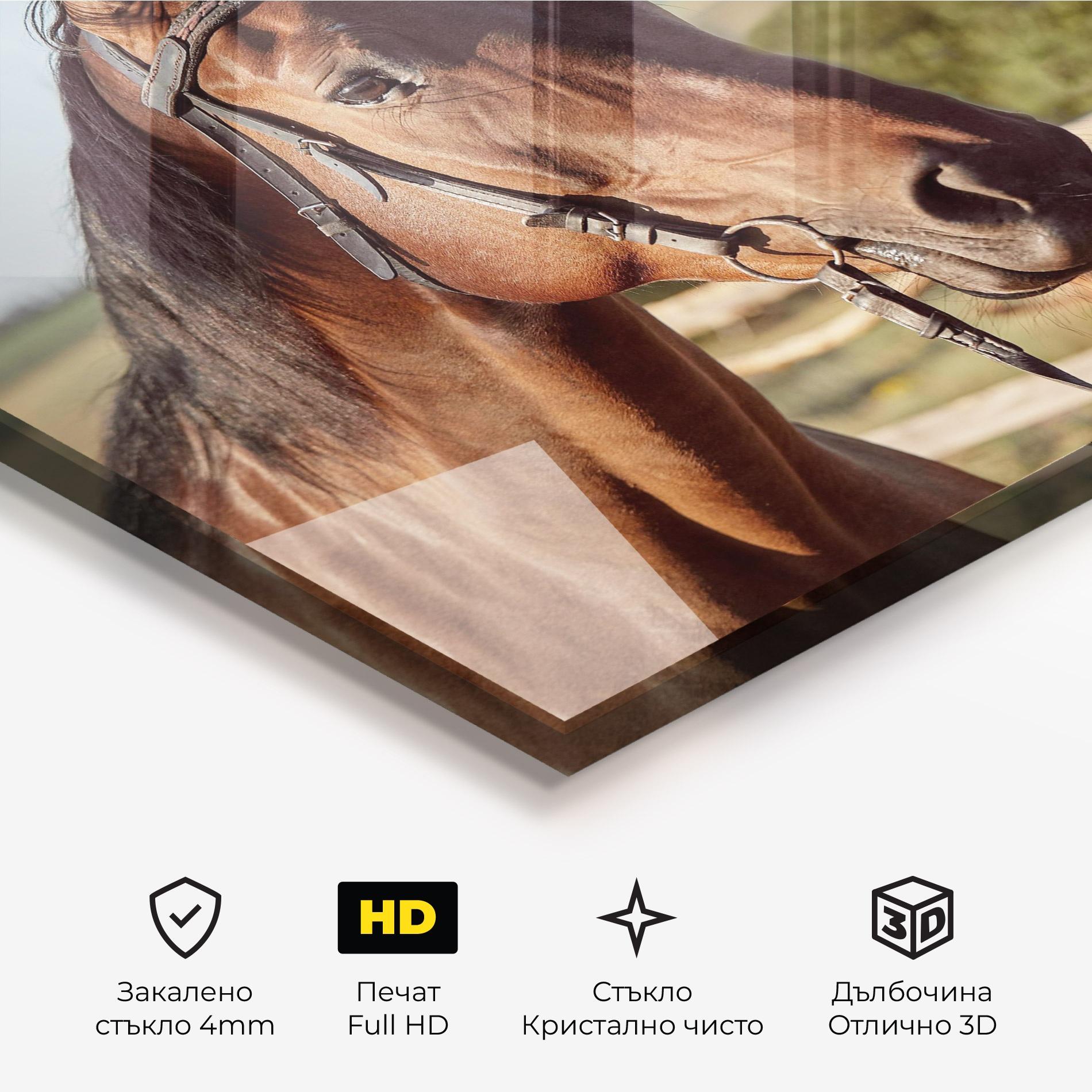 Стъклена картина Brown Horse Close Up mockup 3