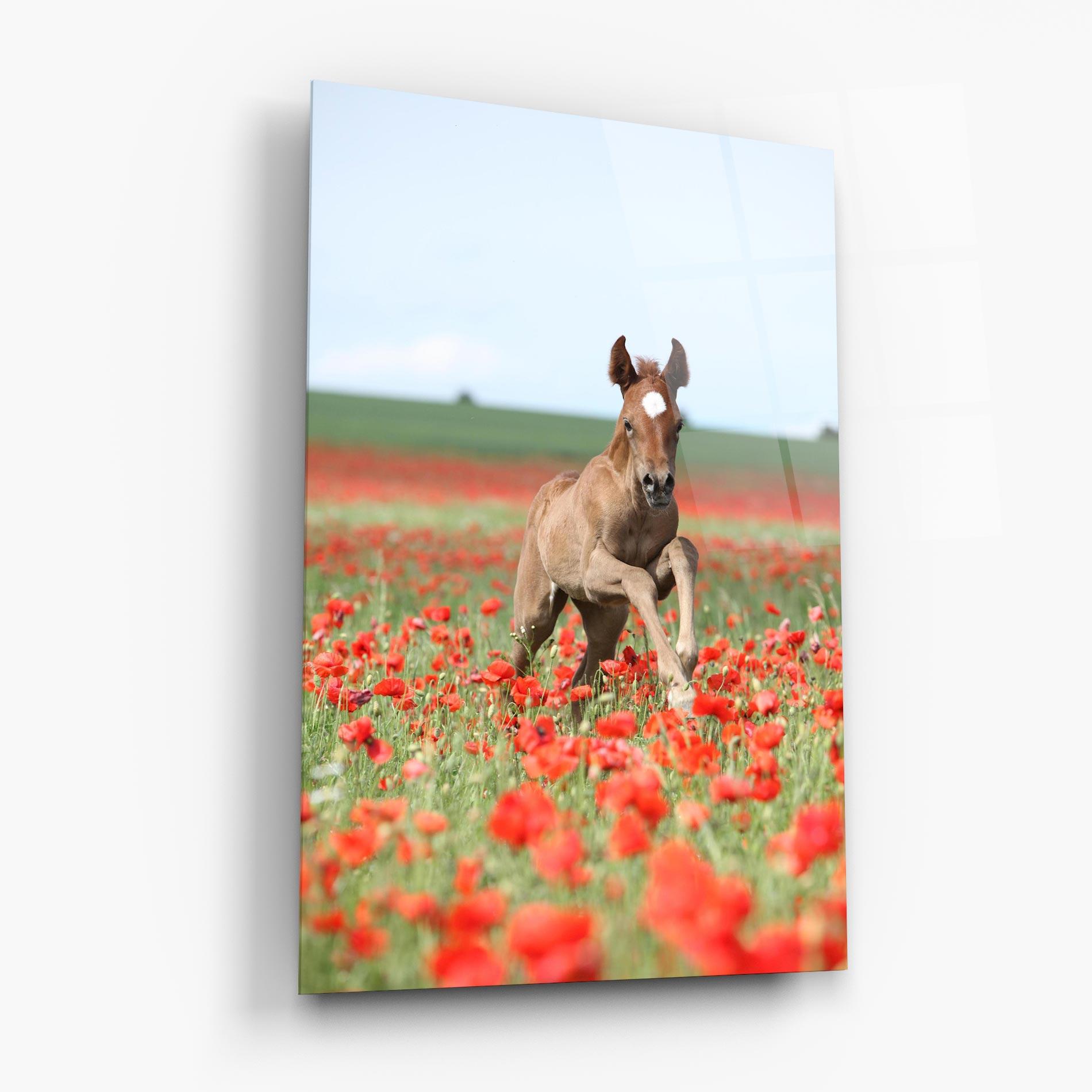 Стъклена картина Red Flowers Horse mockup 6