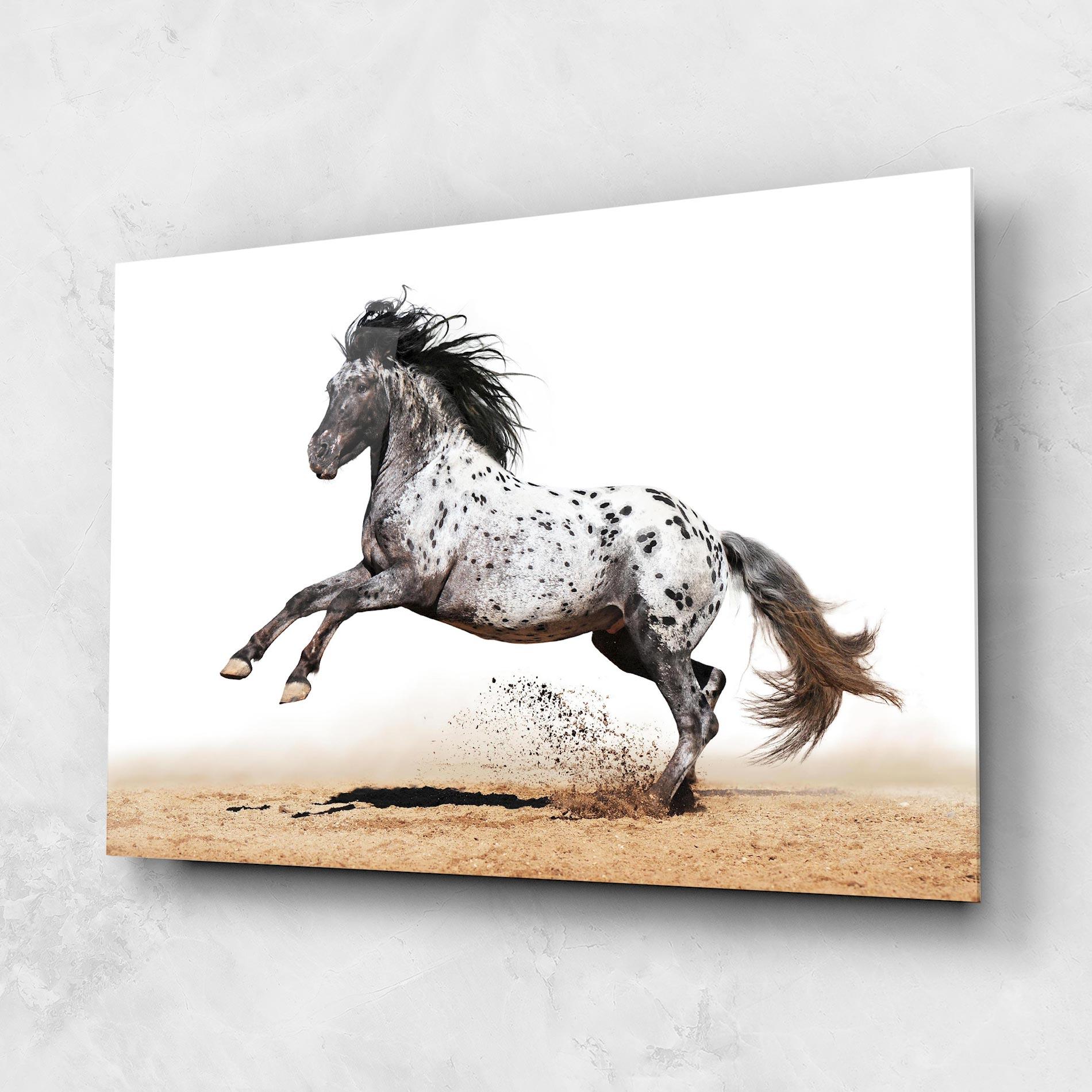Стъклена картина Appaloosa Horse Running mockup 1