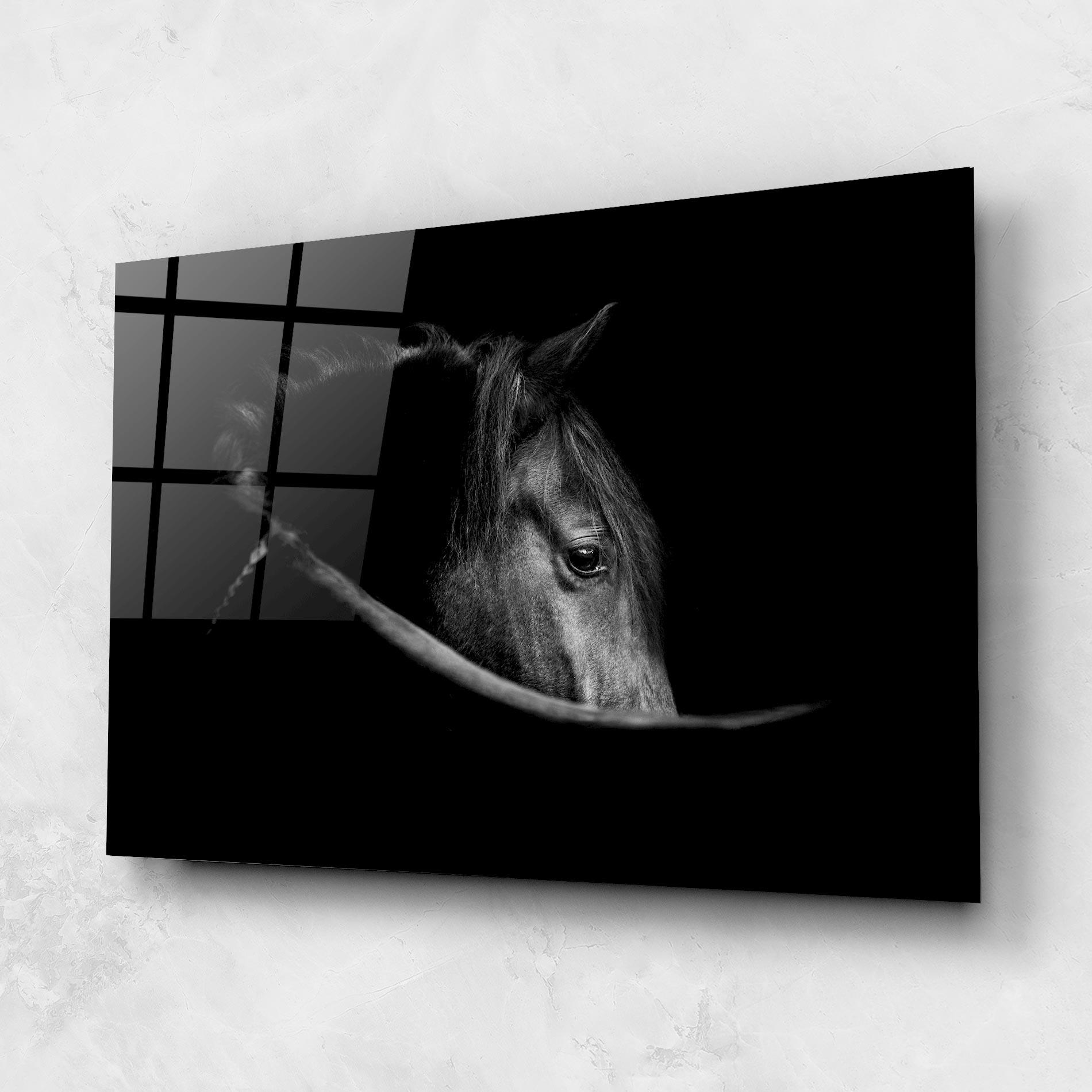Стъклена картина Black Horse Looking mockup 1