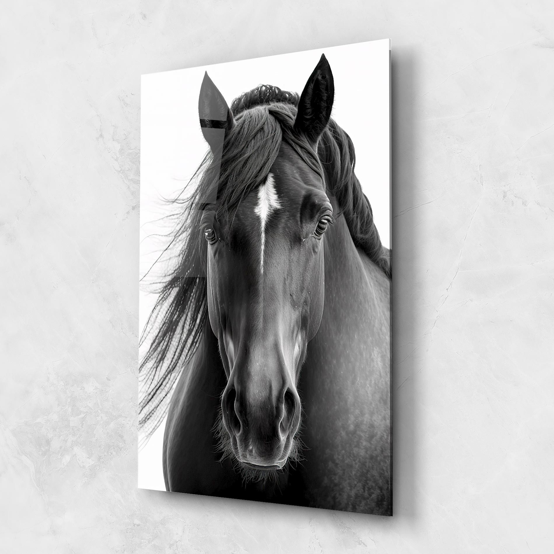 Close Up Horse mockup 1