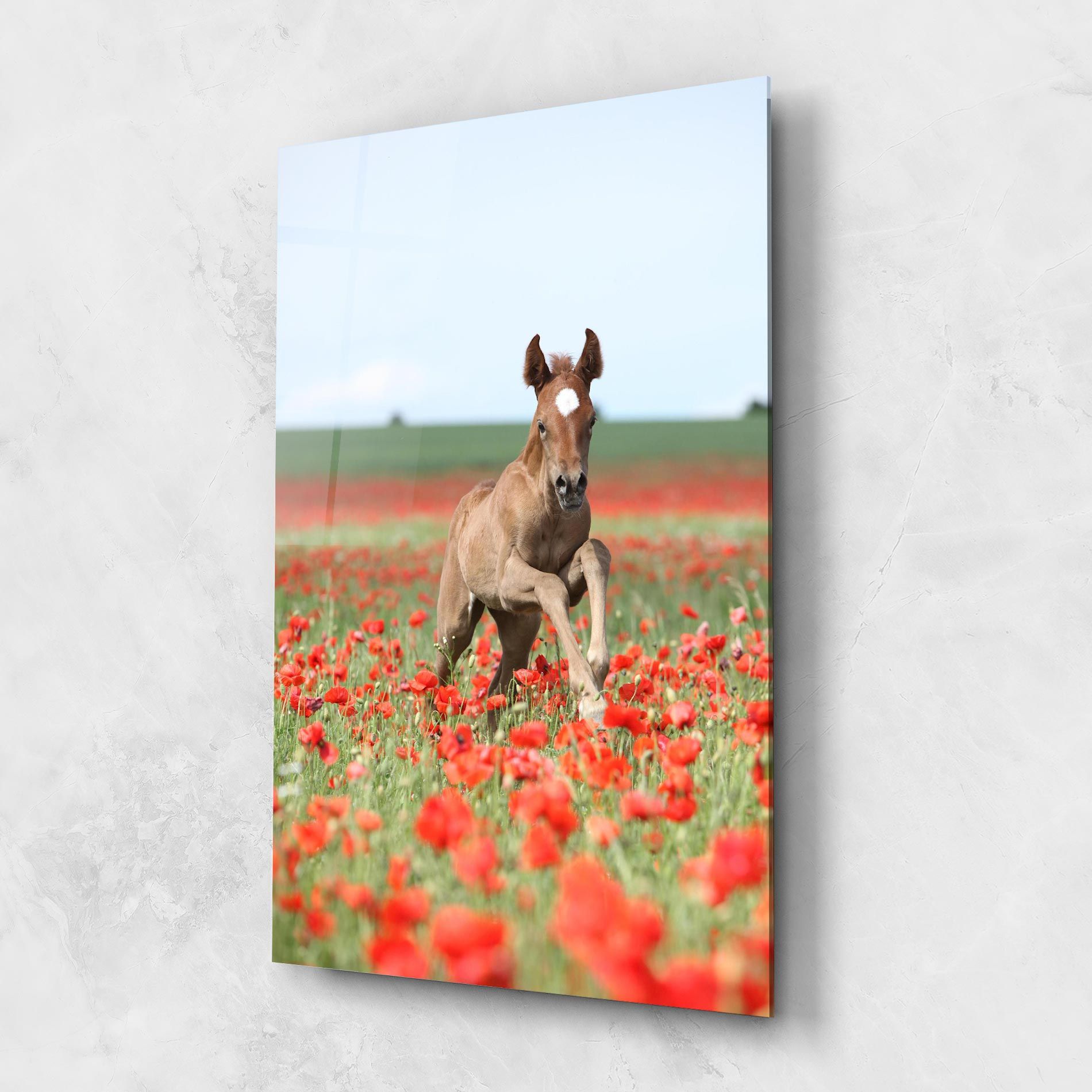 Red Flowers Horse mockup 1