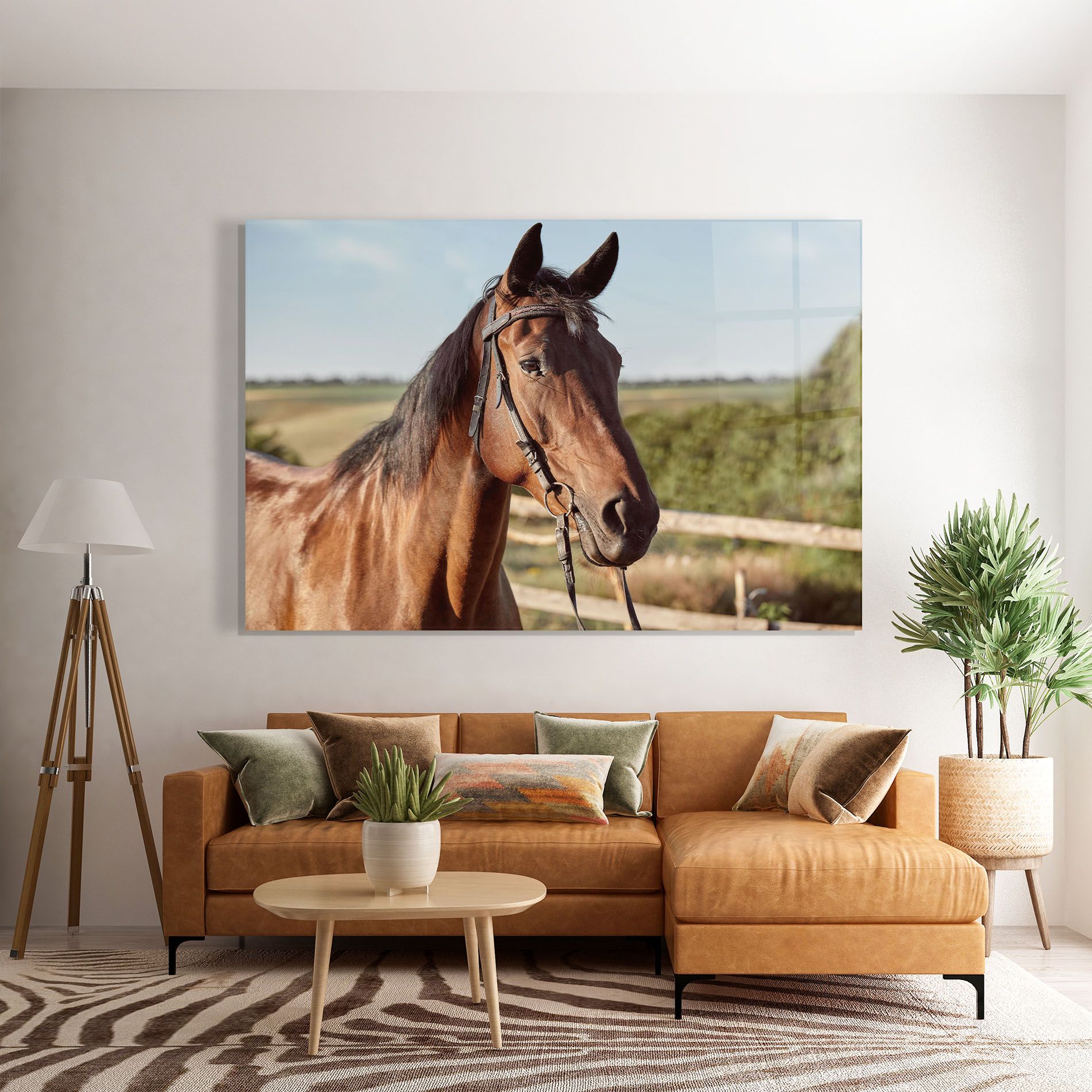 Brown Horse Close Up mockup 7