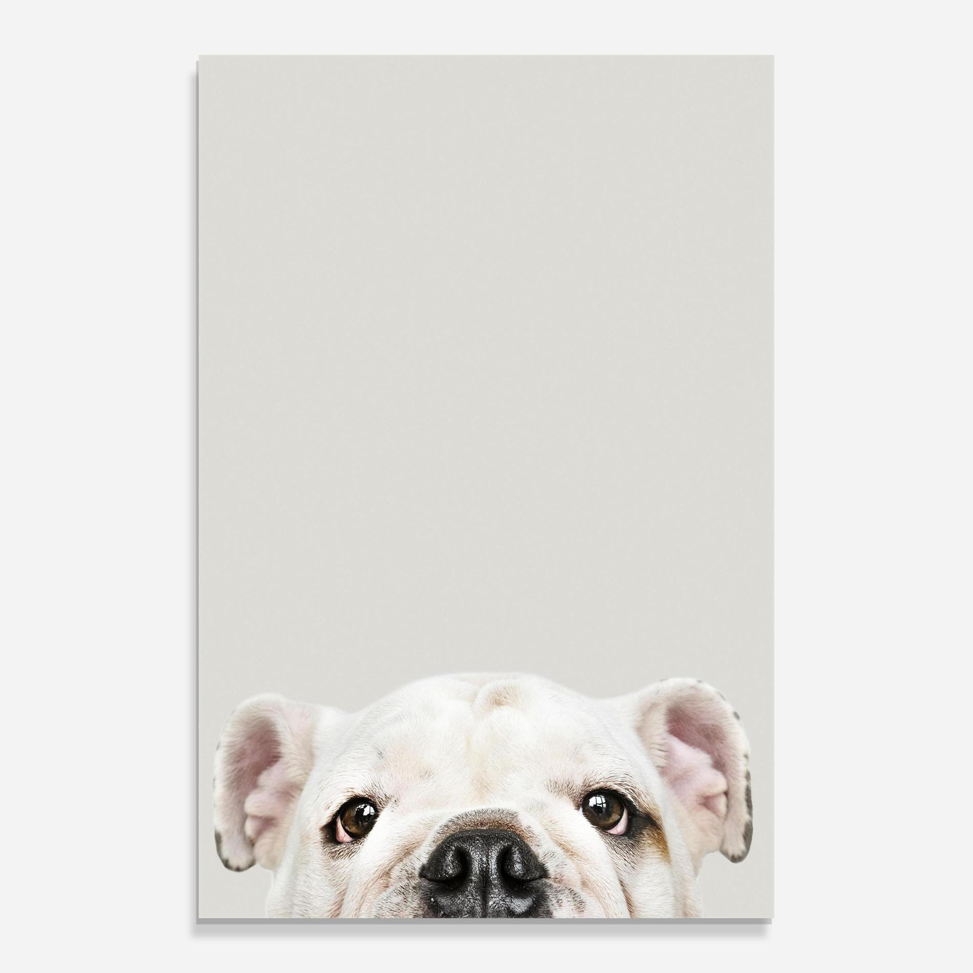 Стъклена картина Bulldog Eyes mockup 0