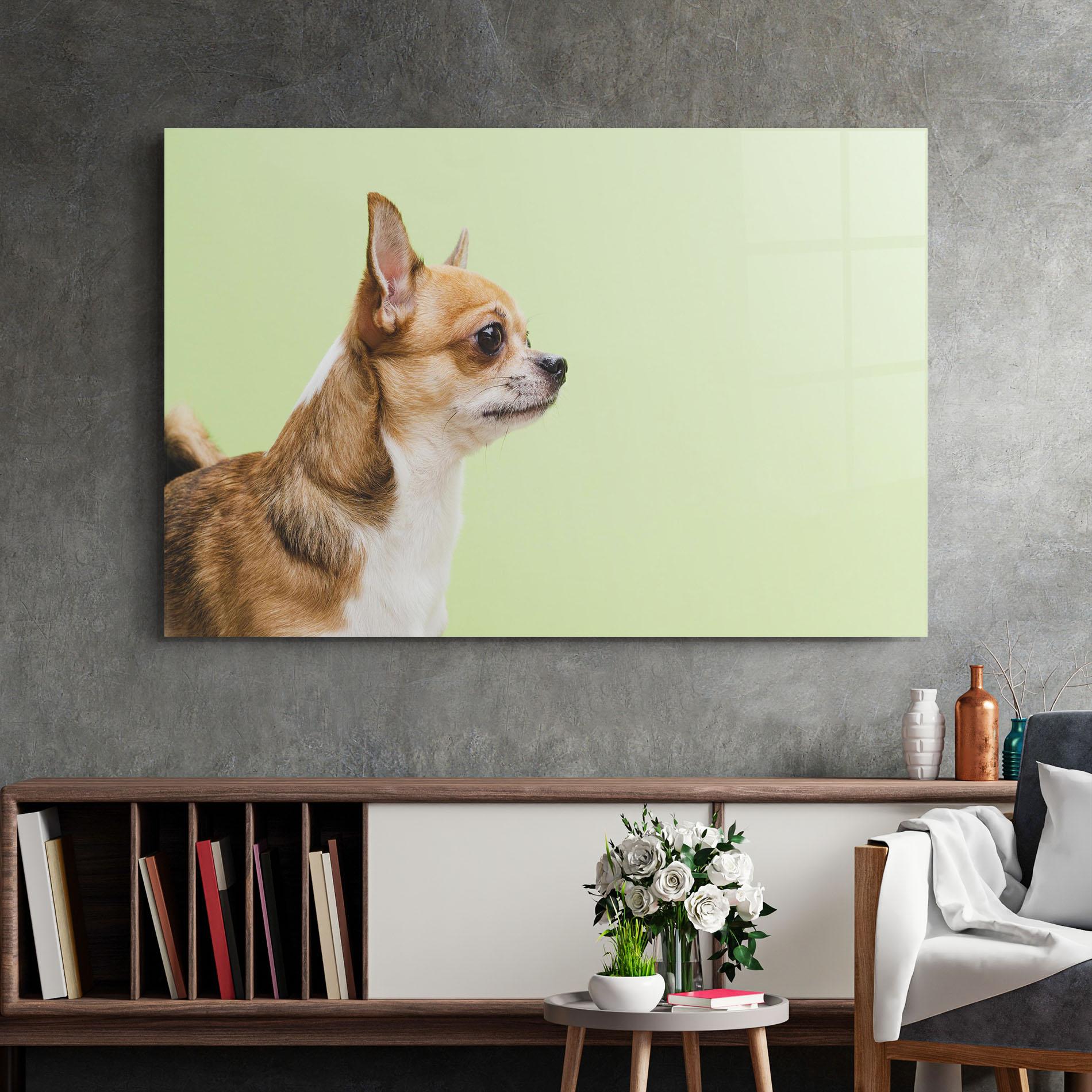 Стъклена картина Chihuahua Dog mockup 2