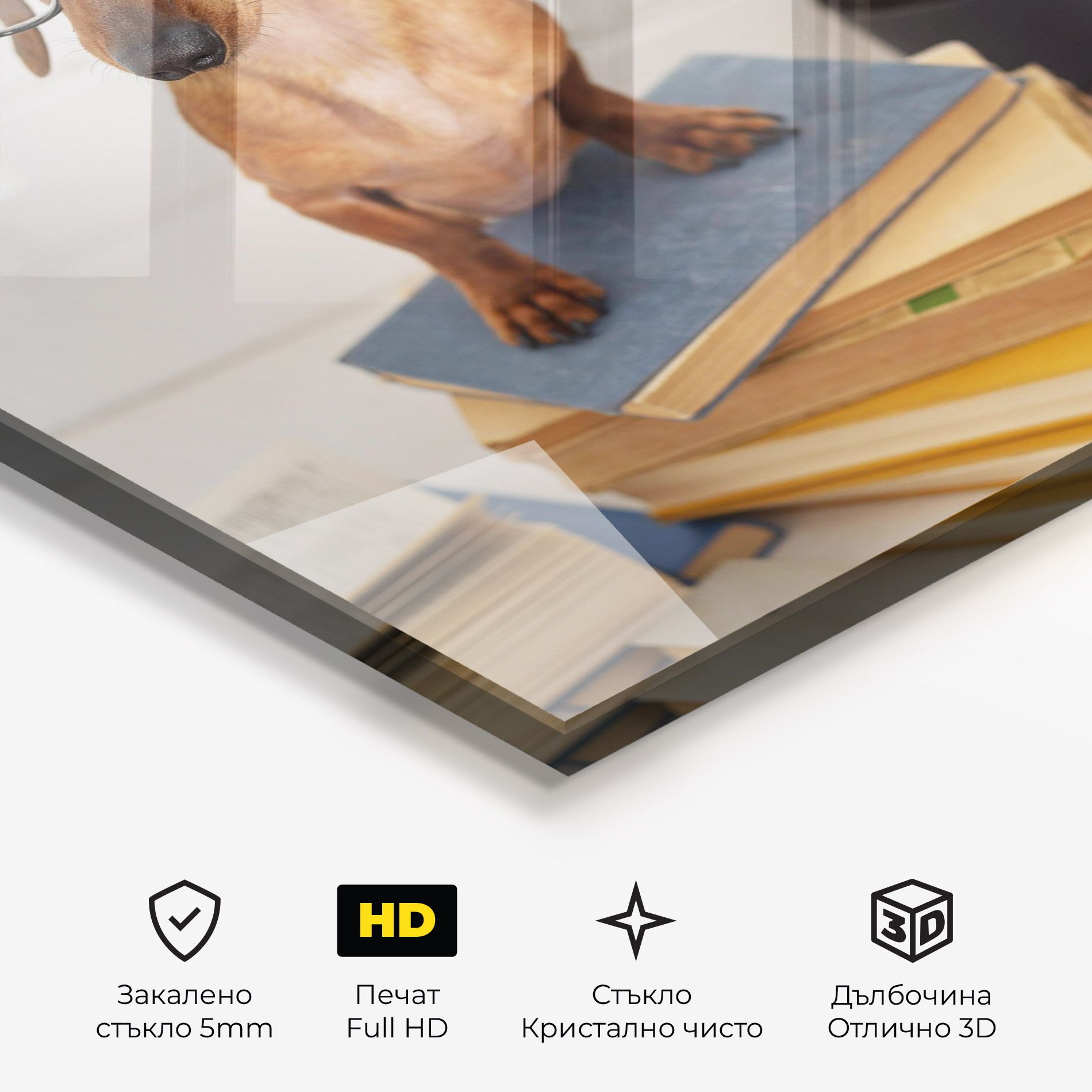 Books Cute Dog mockup 3