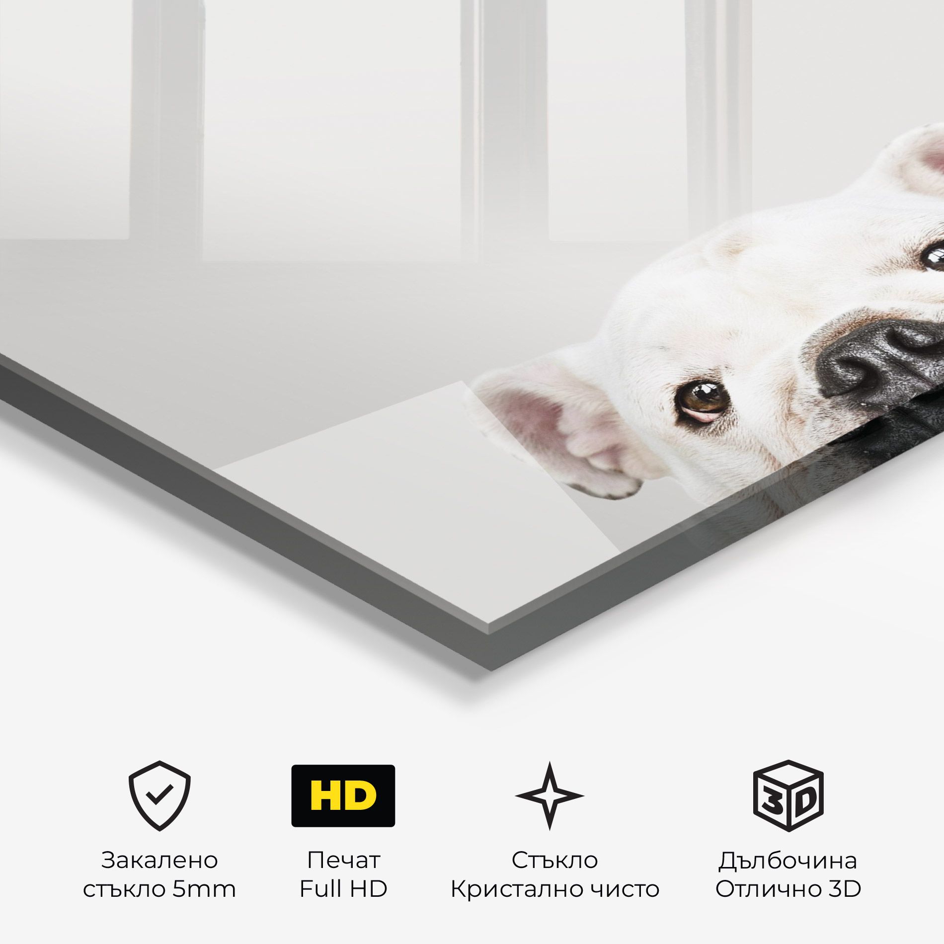 Bulldog Eyes mockup 3