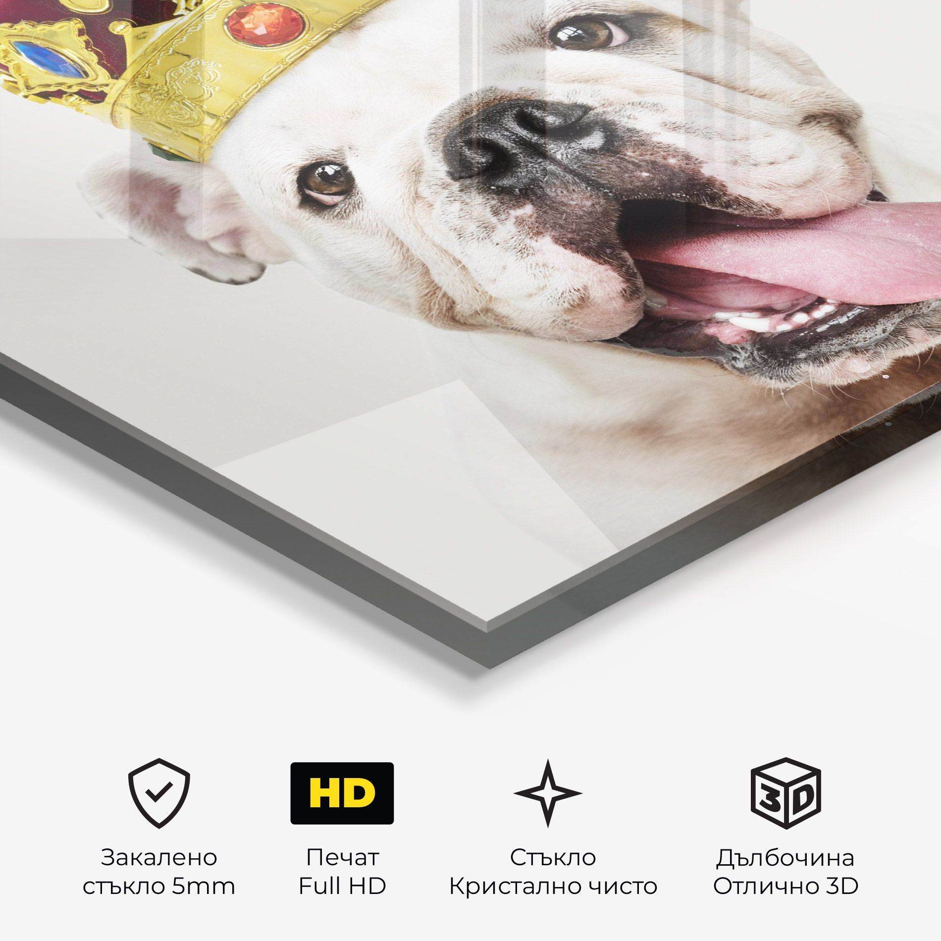 Bulldog Wearing Crown mockup 3