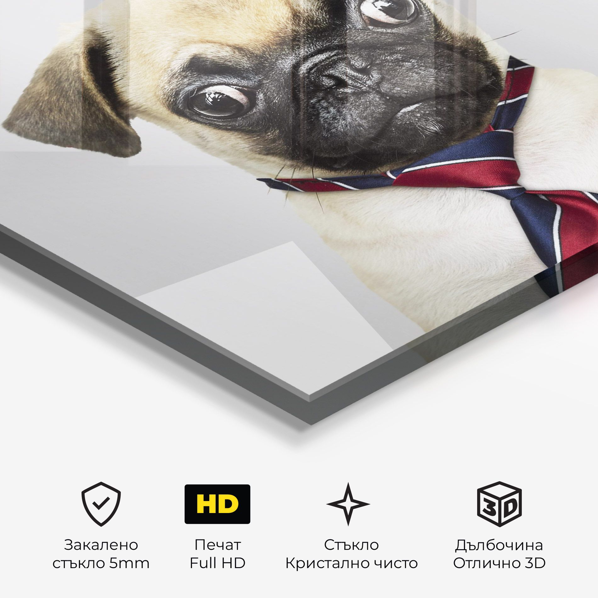 Business Pug mockup 3