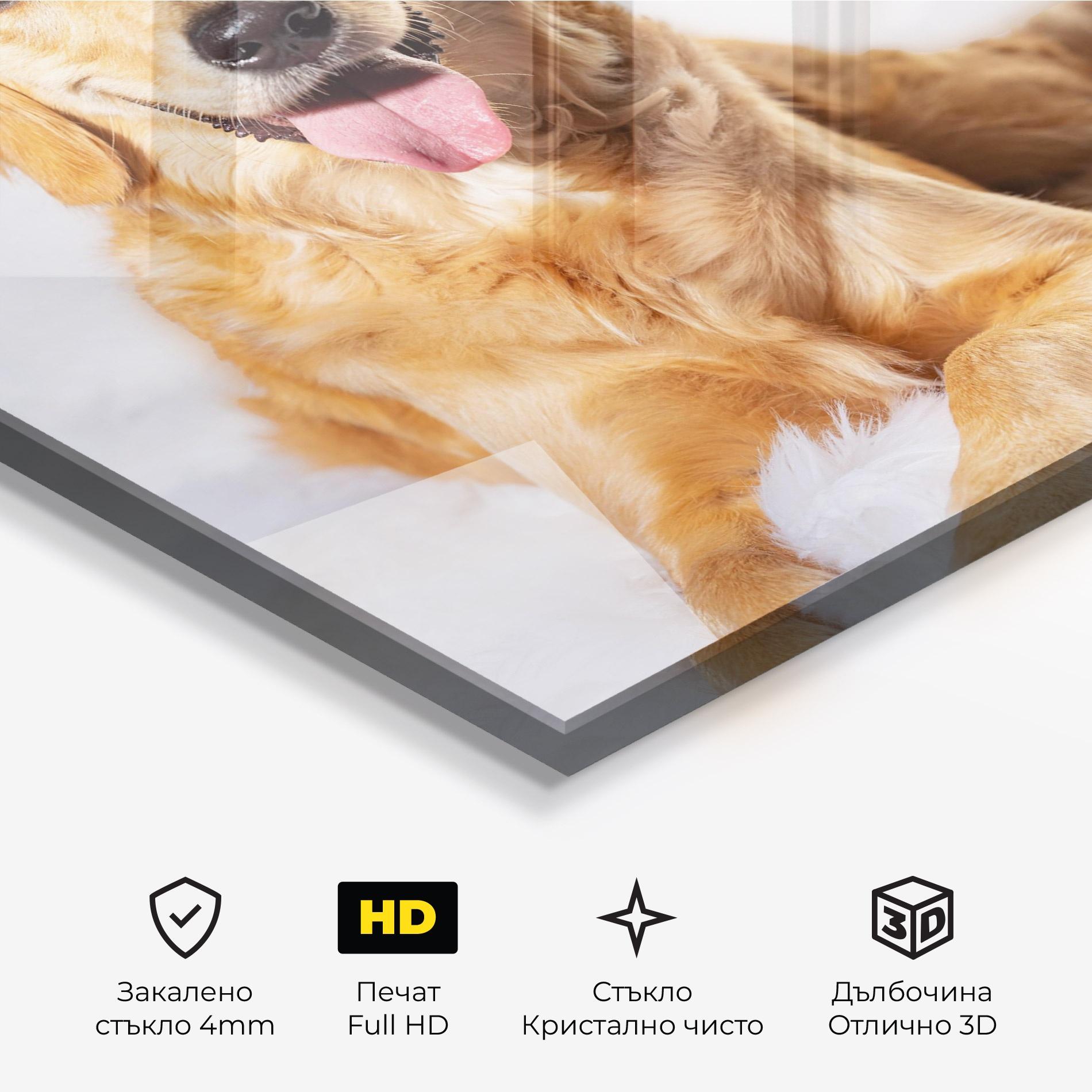 Стъклена картина Beautiful Gold Dog mockup 3