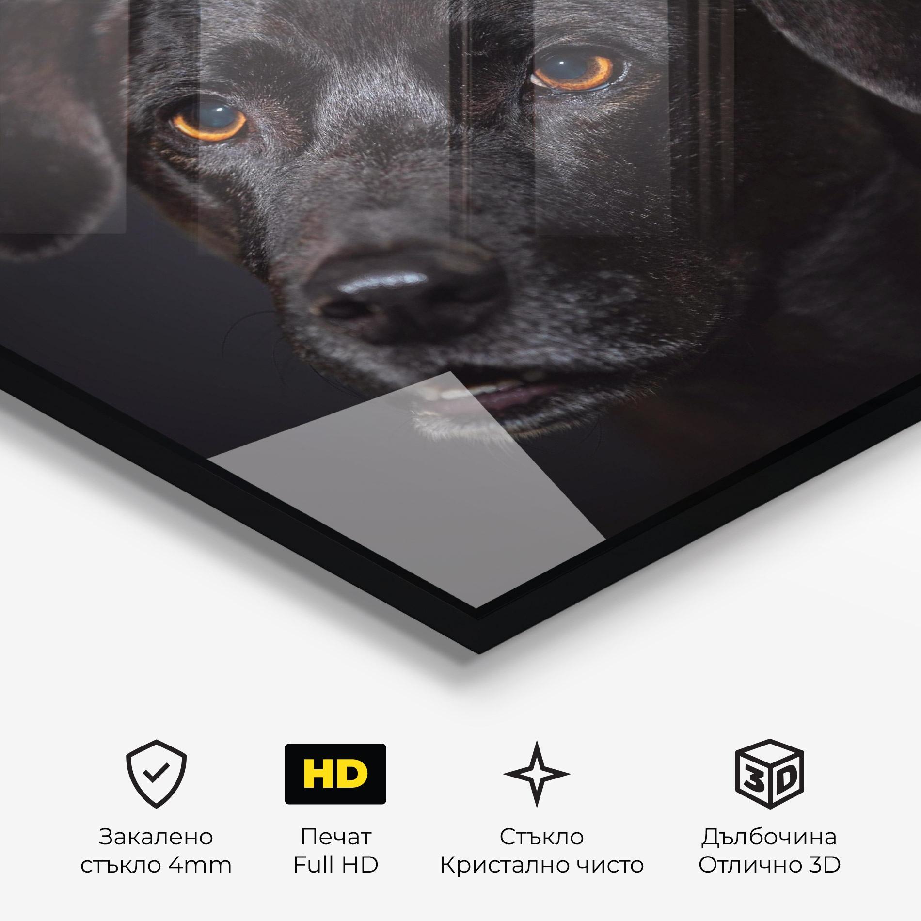 Стъклена картина Black Dog Portrait mockup 3