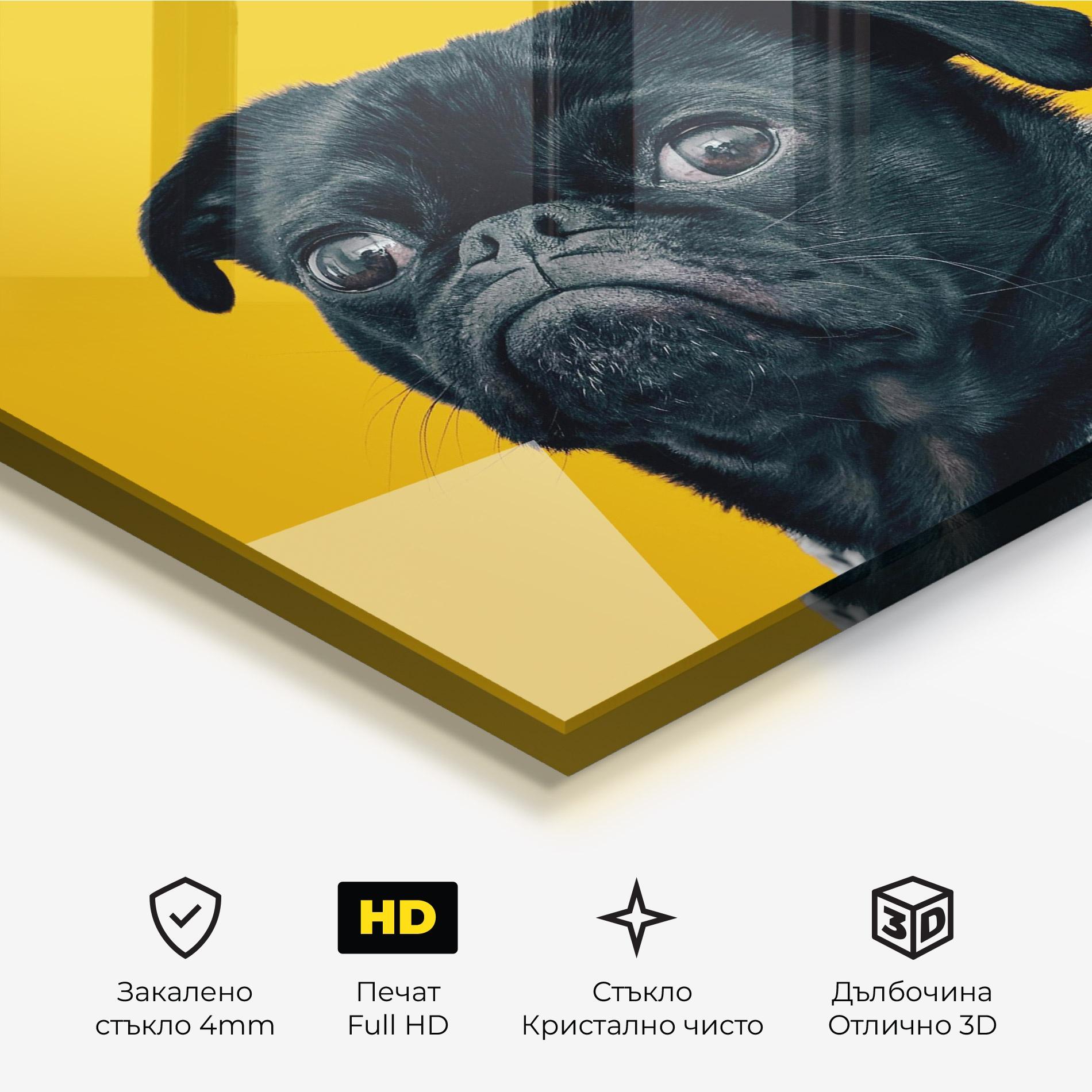 Стъклена картина Black Pug mockup 3