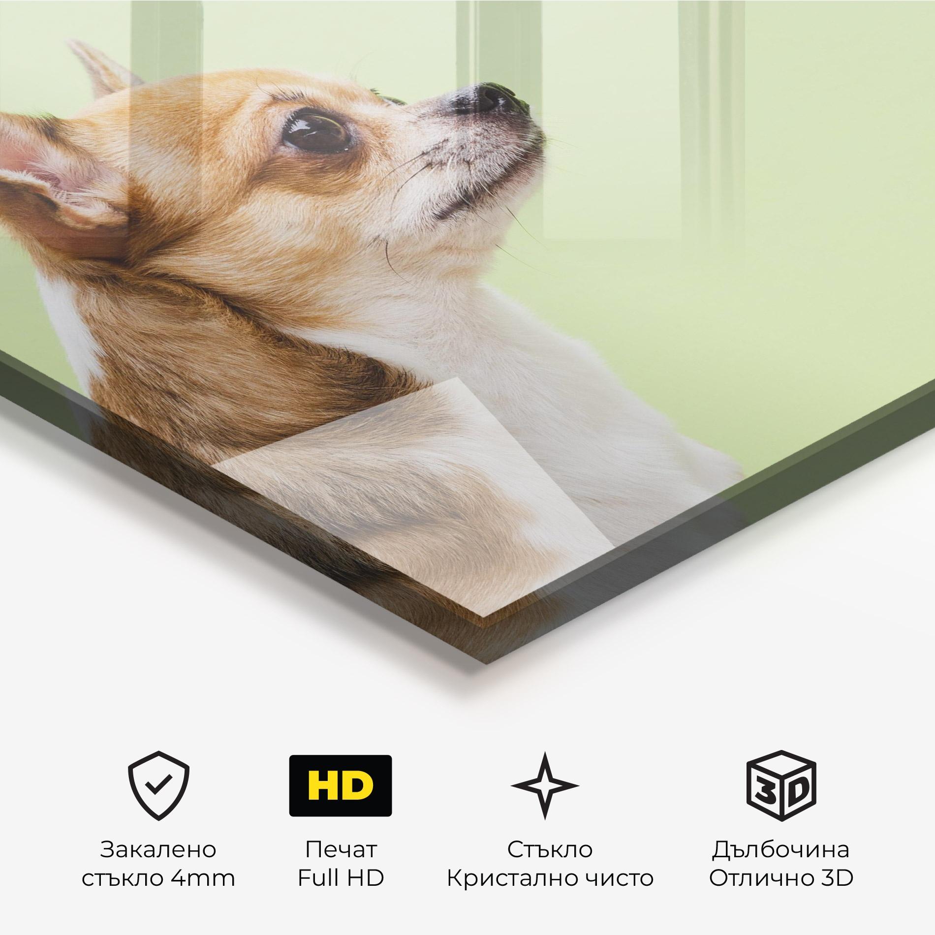 Стъклена картина Chihuahua Dog mockup 3