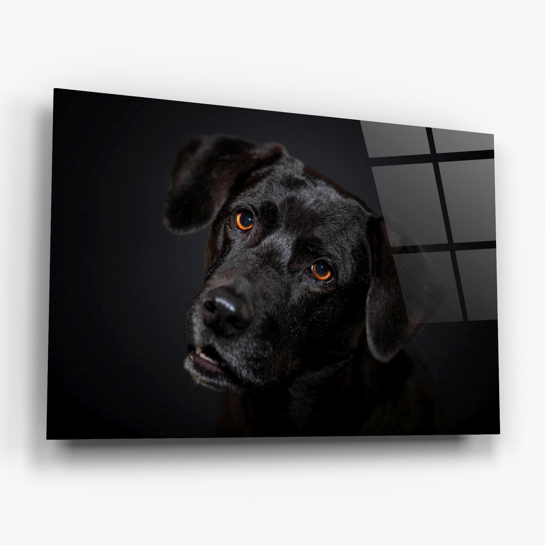 Black Dog Portrait mockup 6