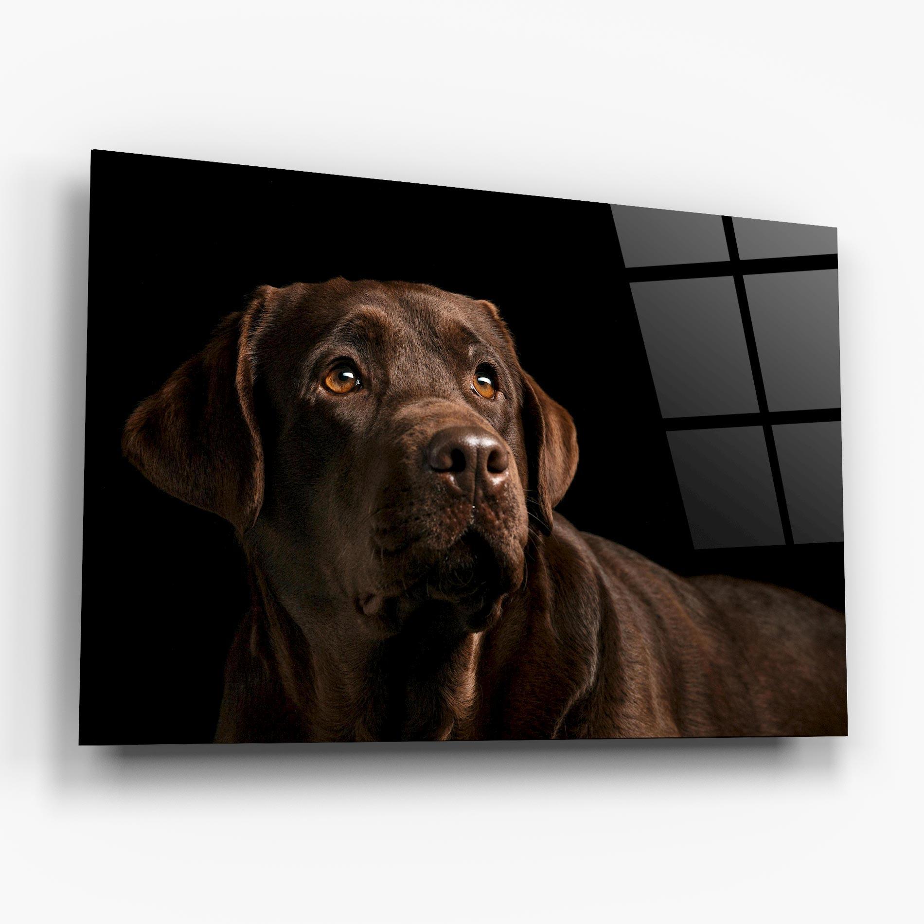 Стъклена картина Brown Labrador mockup 6