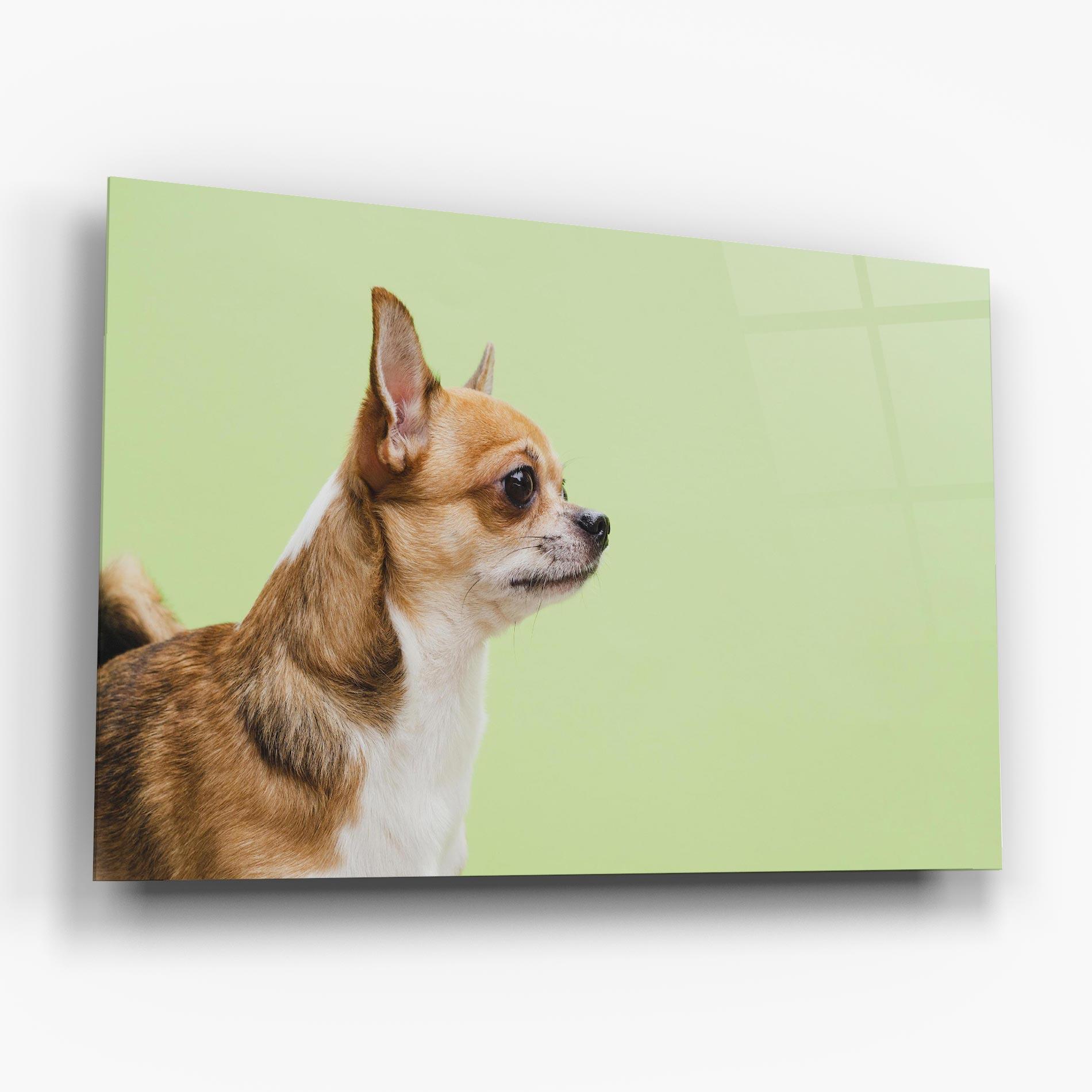 Стъклена картина Chihuahua Dog mockup 6