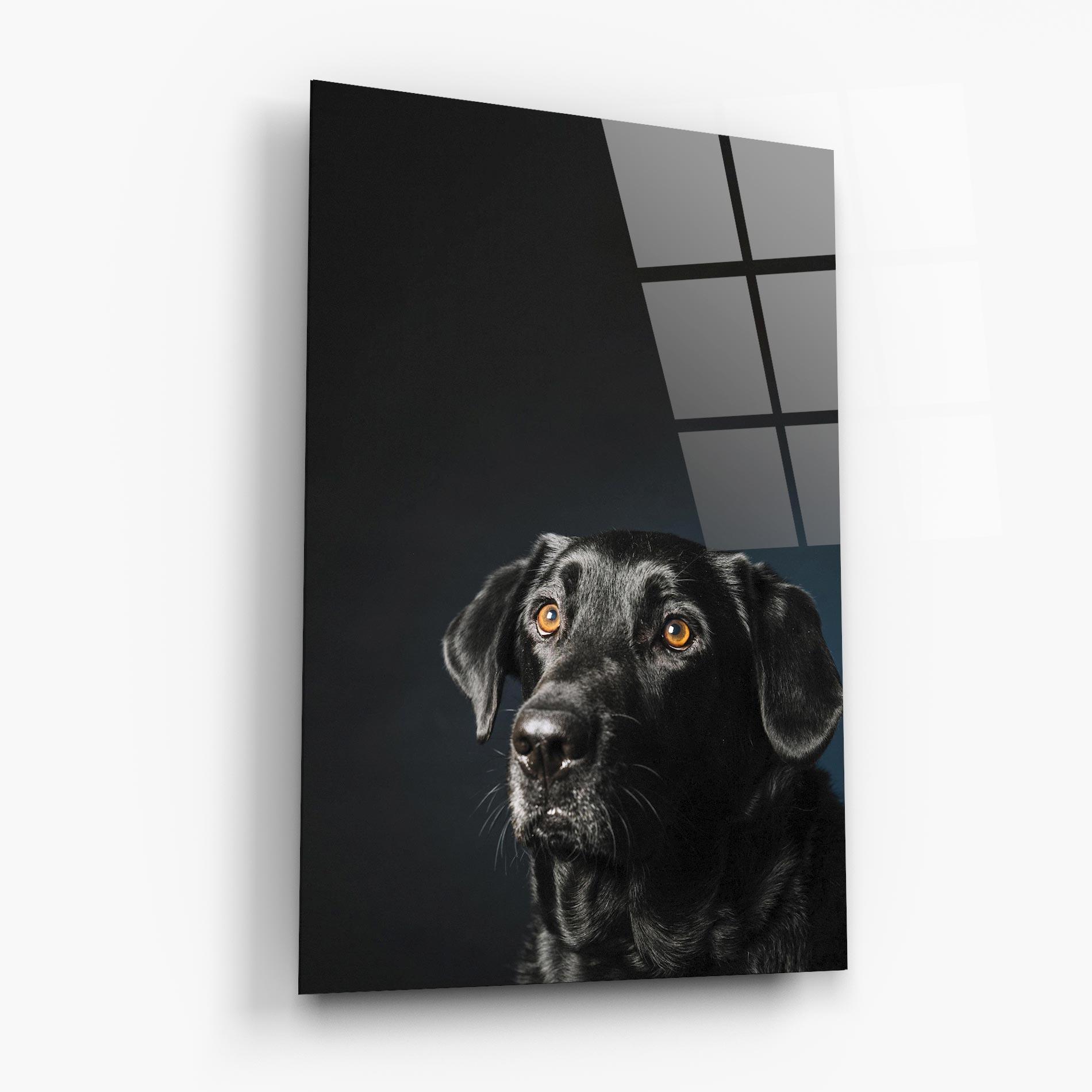 Стъклена картина Brown Eyes Dog mockup 6