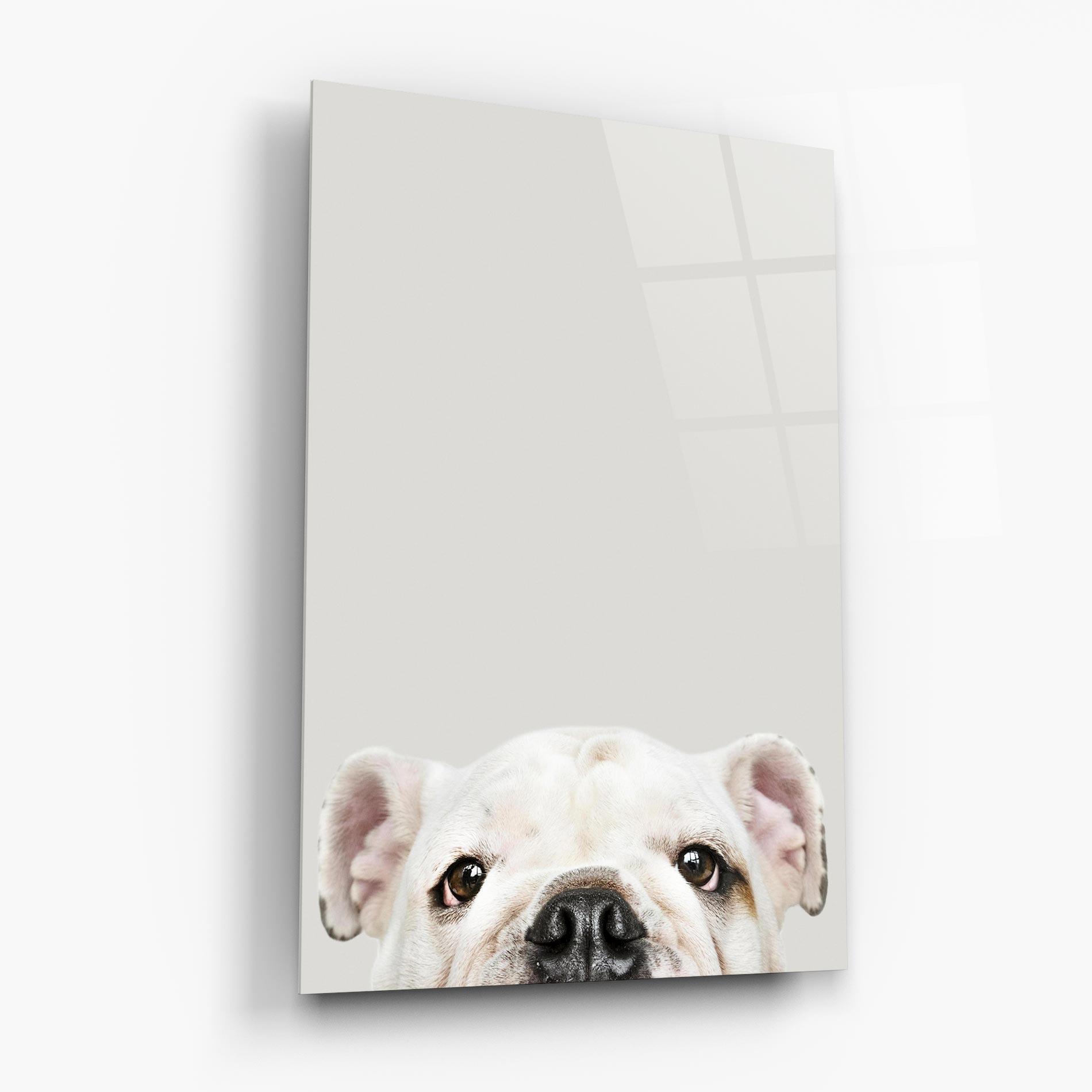 Стъклена картина Bulldog Eyes mockup 6