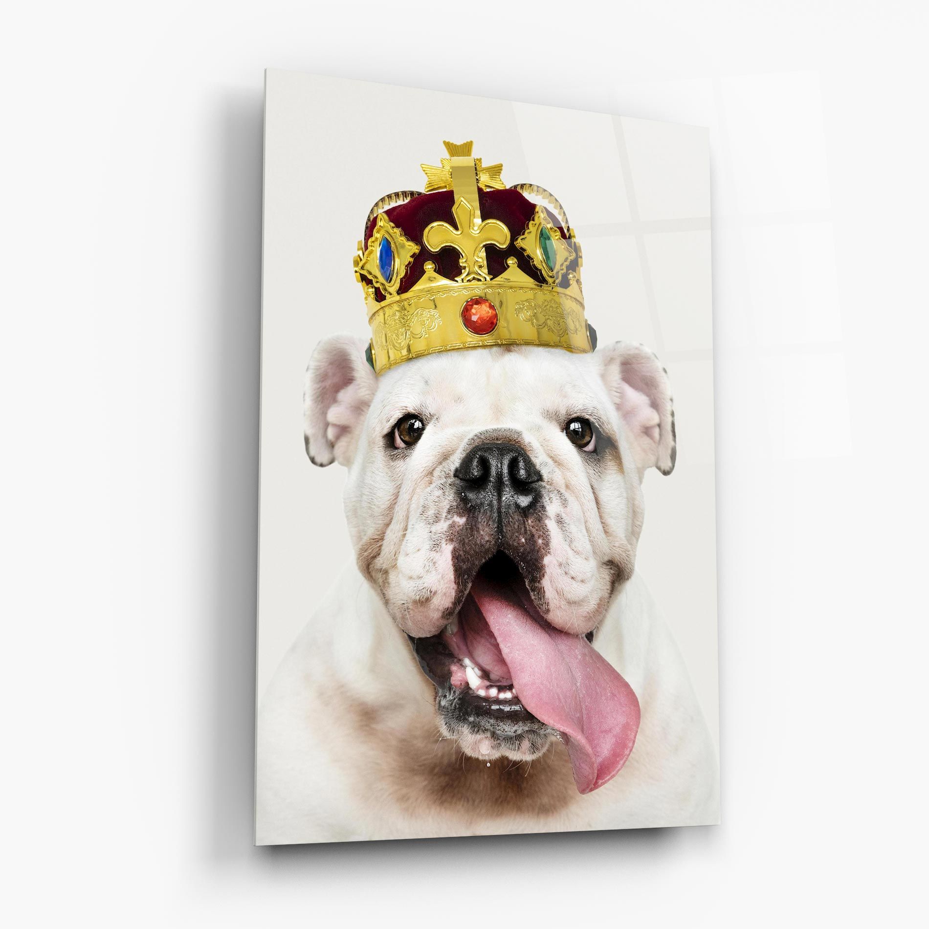 Bulldog Wearing Crown mockup 6