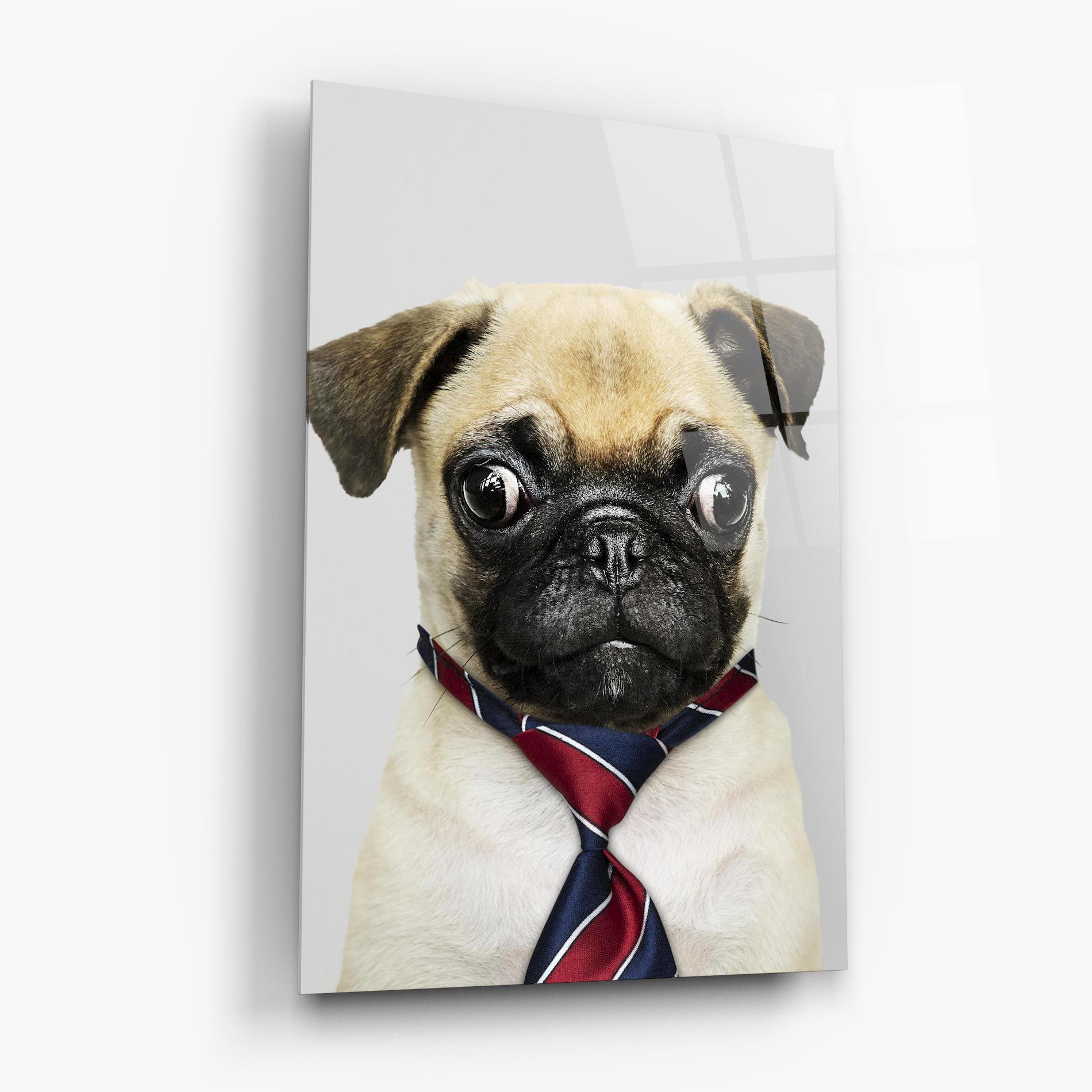 Business Pug mockup 6