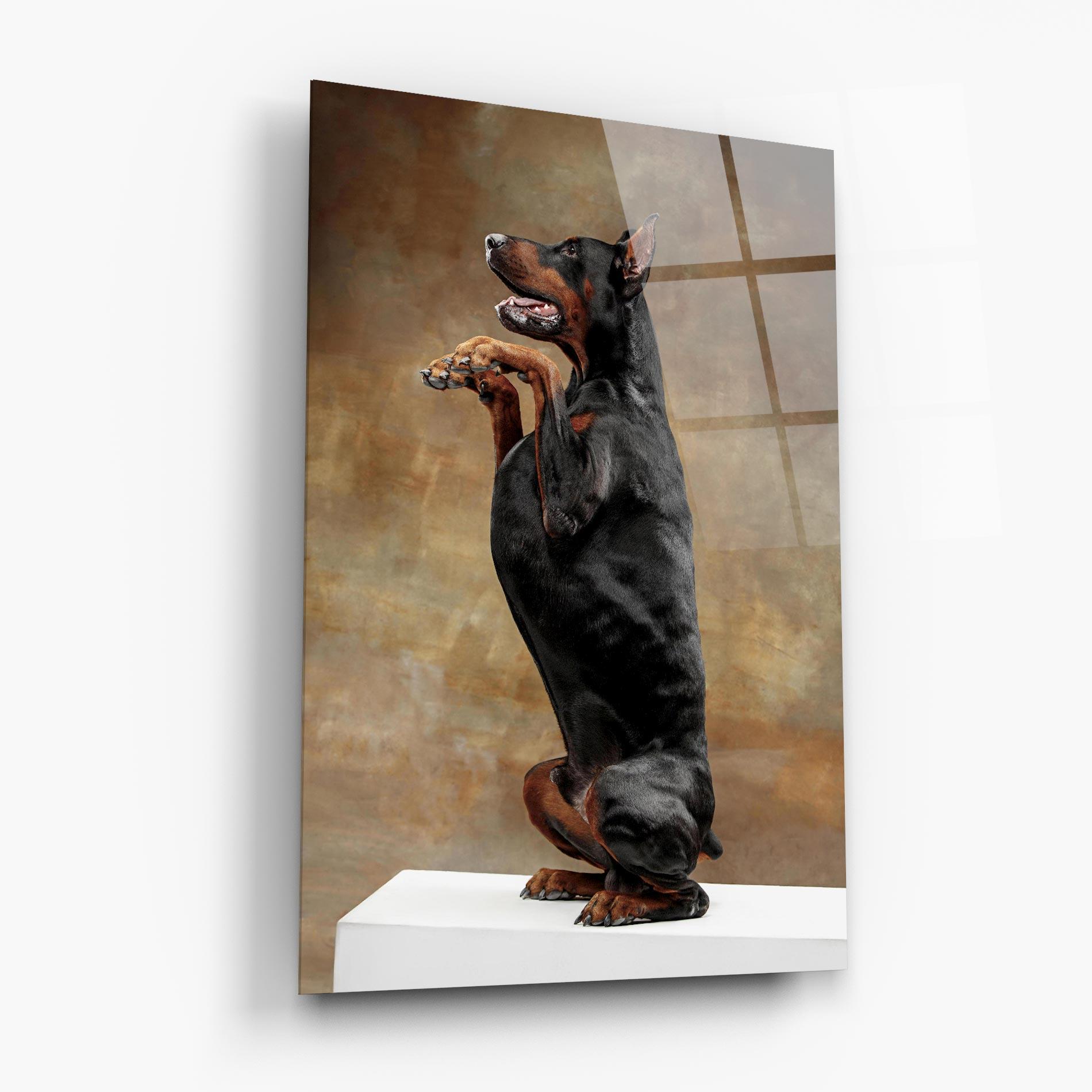 Стъклена картина Doberman Standing mockup 6