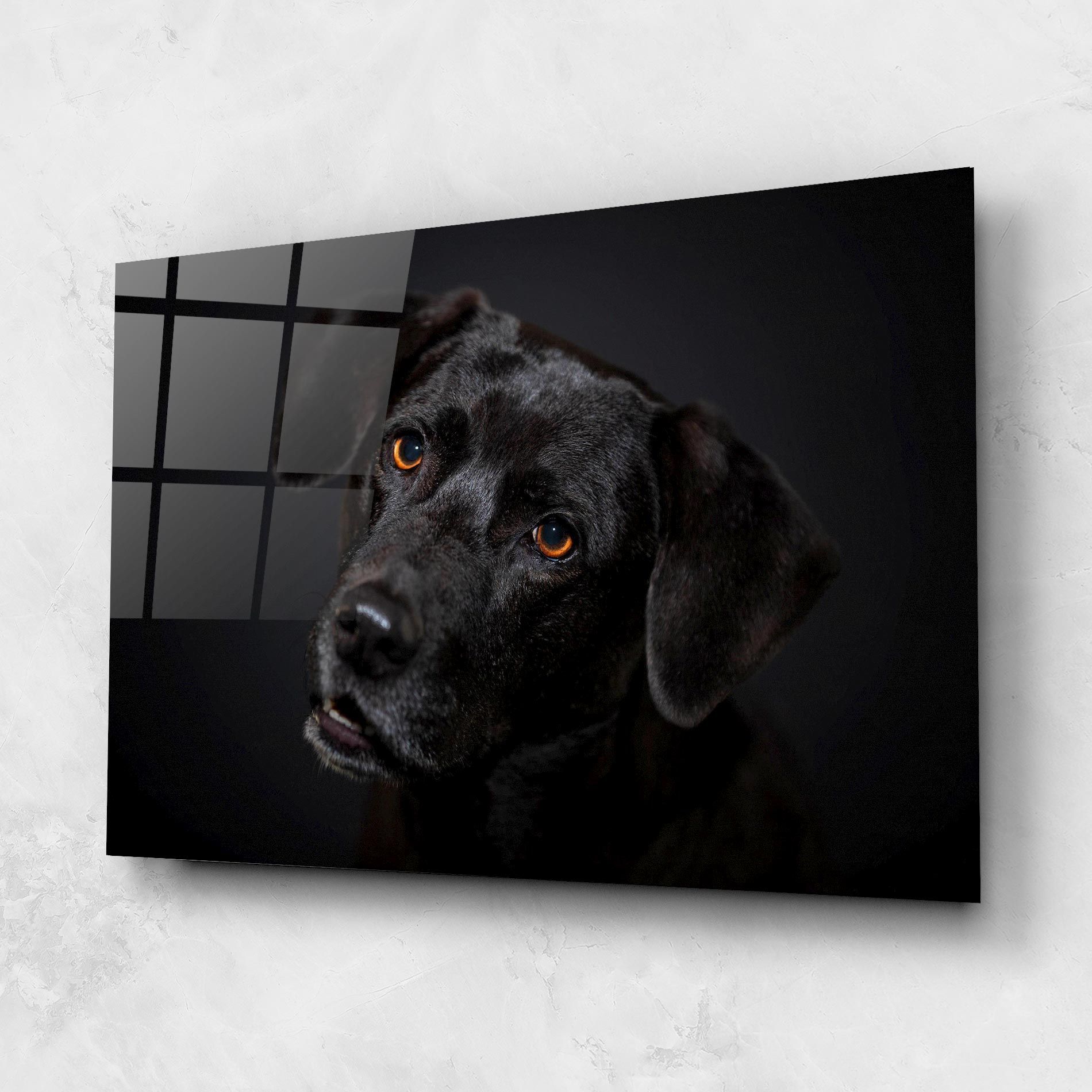 Black Dog Portrait mockup 1