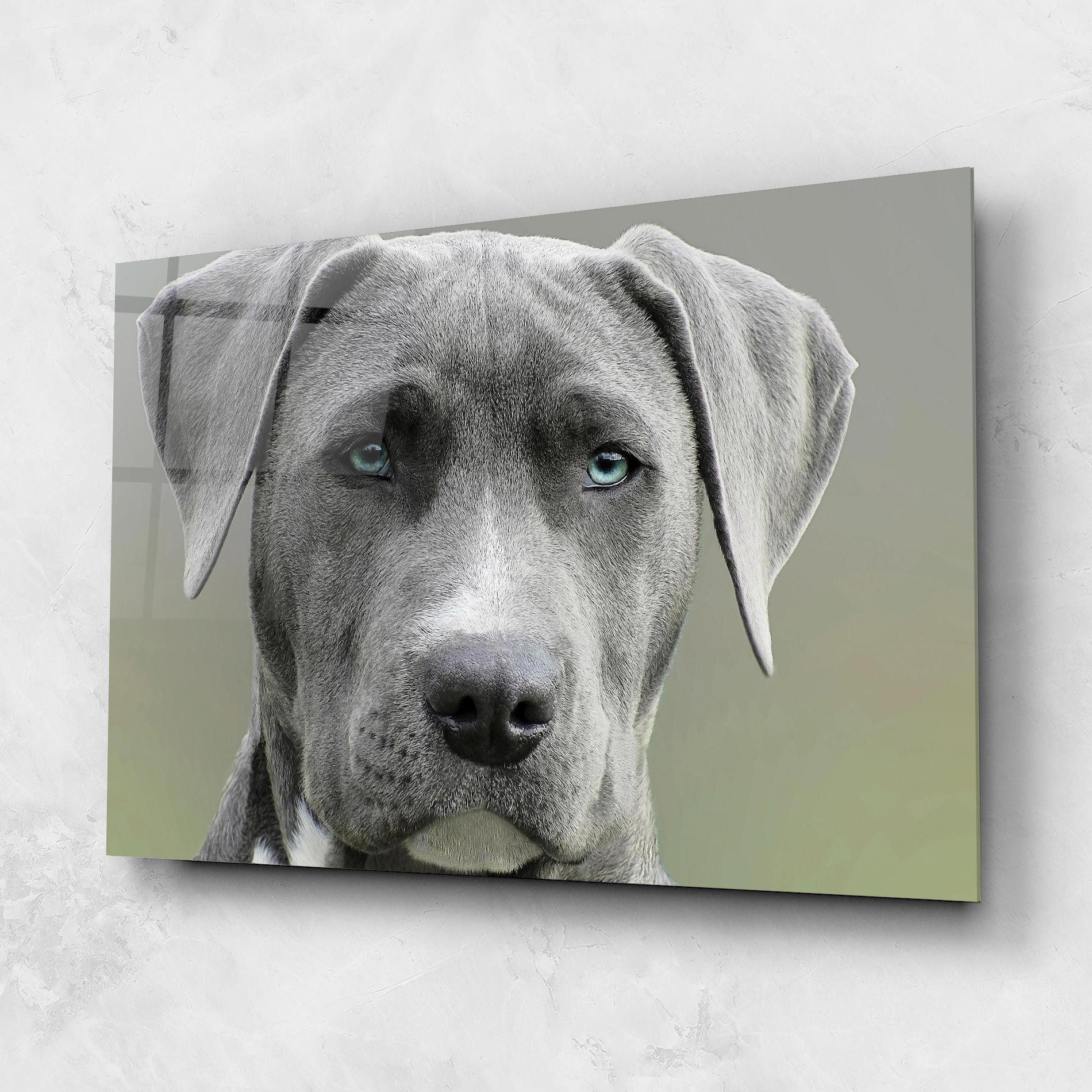 Blue Eyes Dog mockup 1