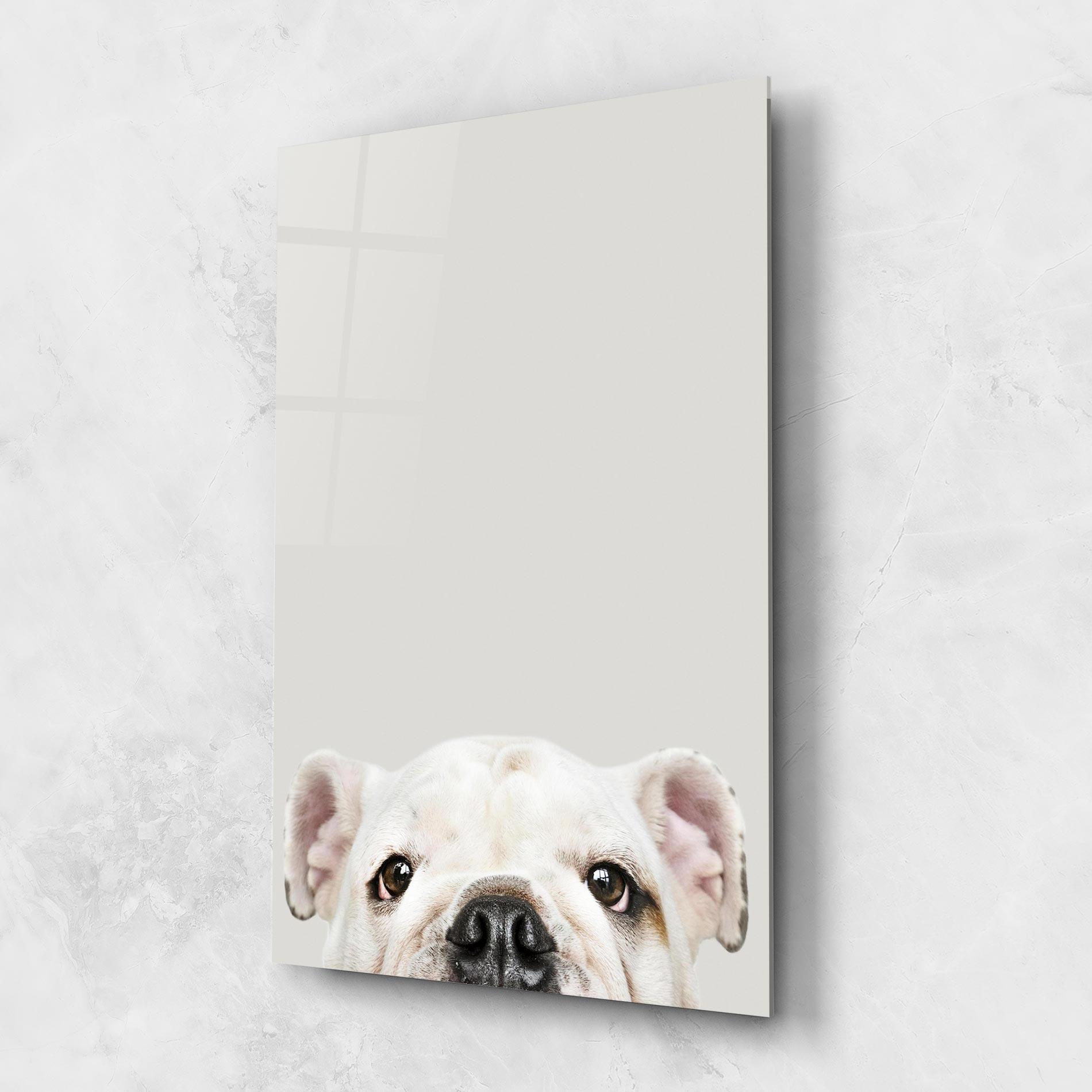 Стъклена картина Bulldog Eyes mockup 1