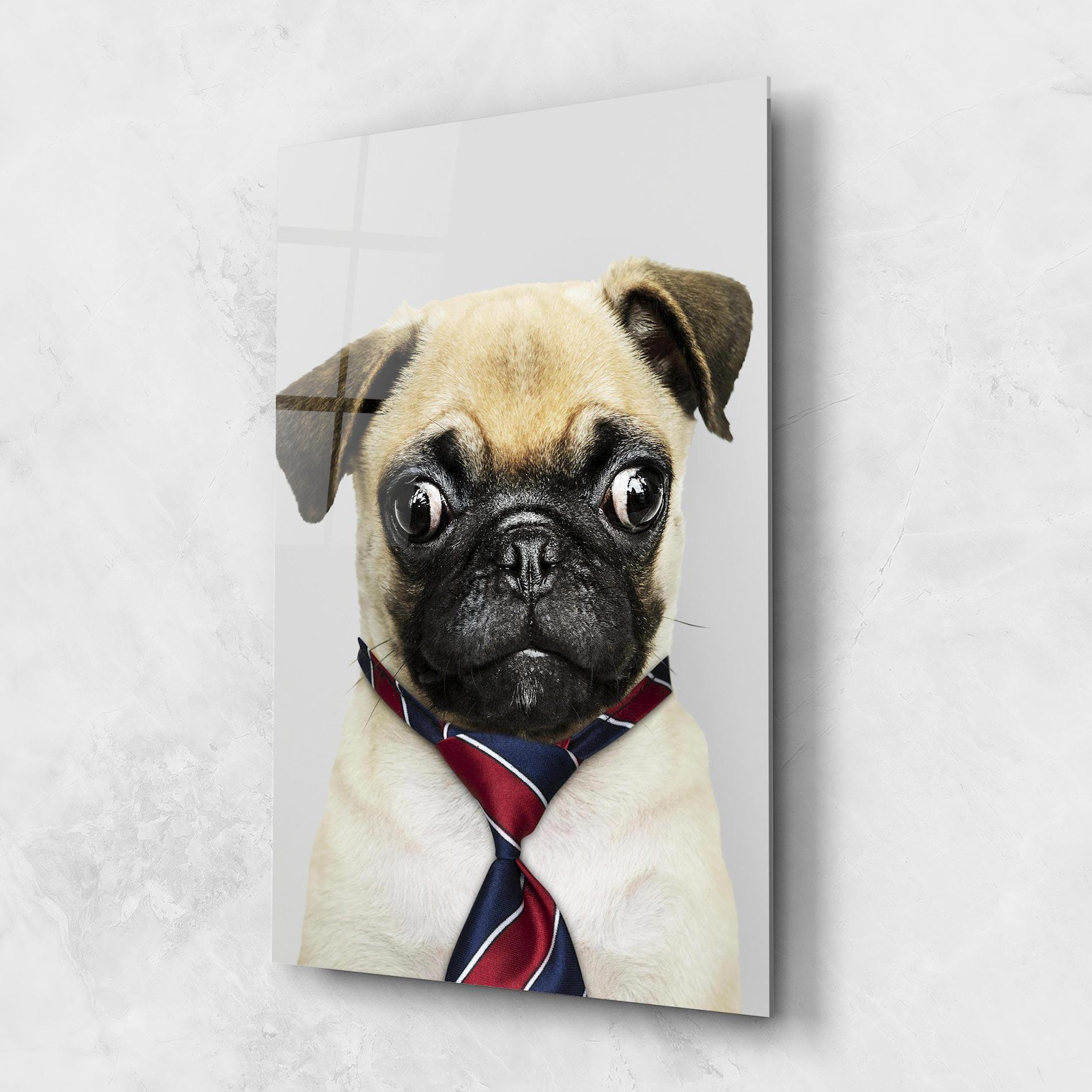 Стъклена картина Business Pug mockup 1
